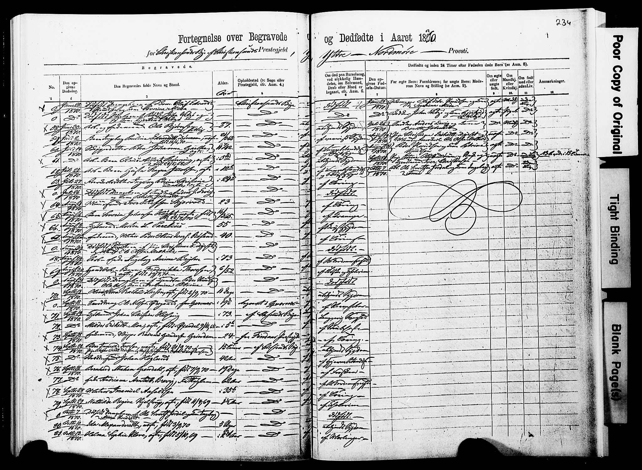 Ministerialprotokoller, klokkerbøker og fødselsregistre - Møre og Romsdal, AV/SAT-A-1454/572/L0857: Parish register (official) no. 572D01, 1866-1872, p. 233-234