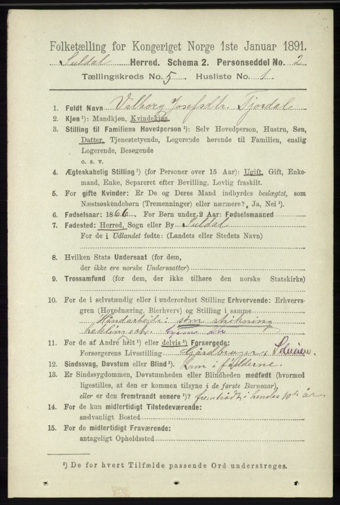 RA, 1891 census for 1134 Suldal, 1891, p. 1460