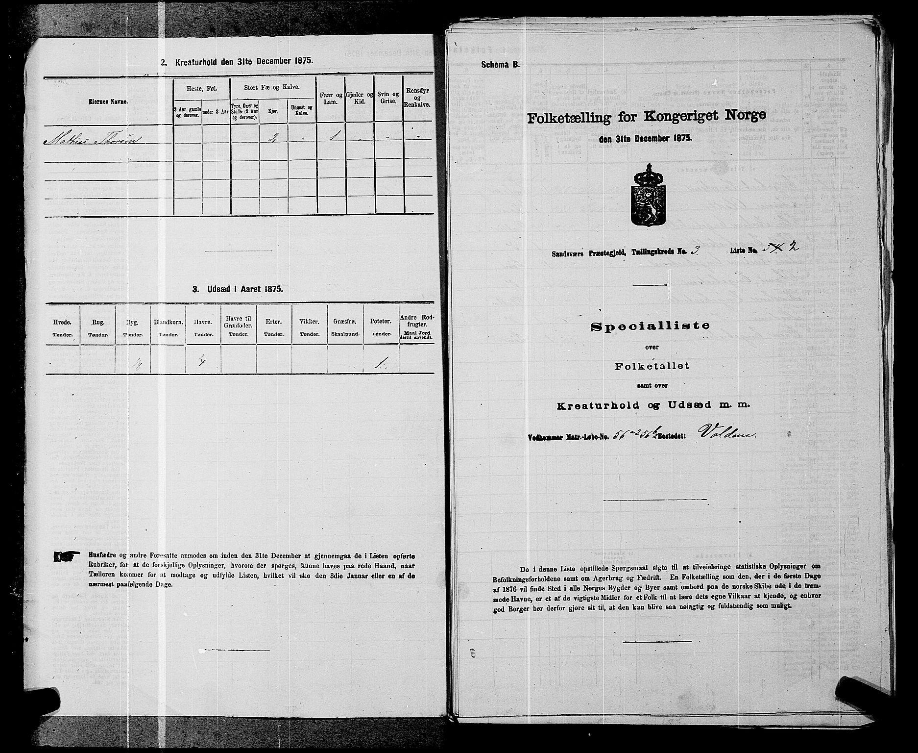 SAKO, 1875 census for 0629P Sandsvær, 1875, p. 538