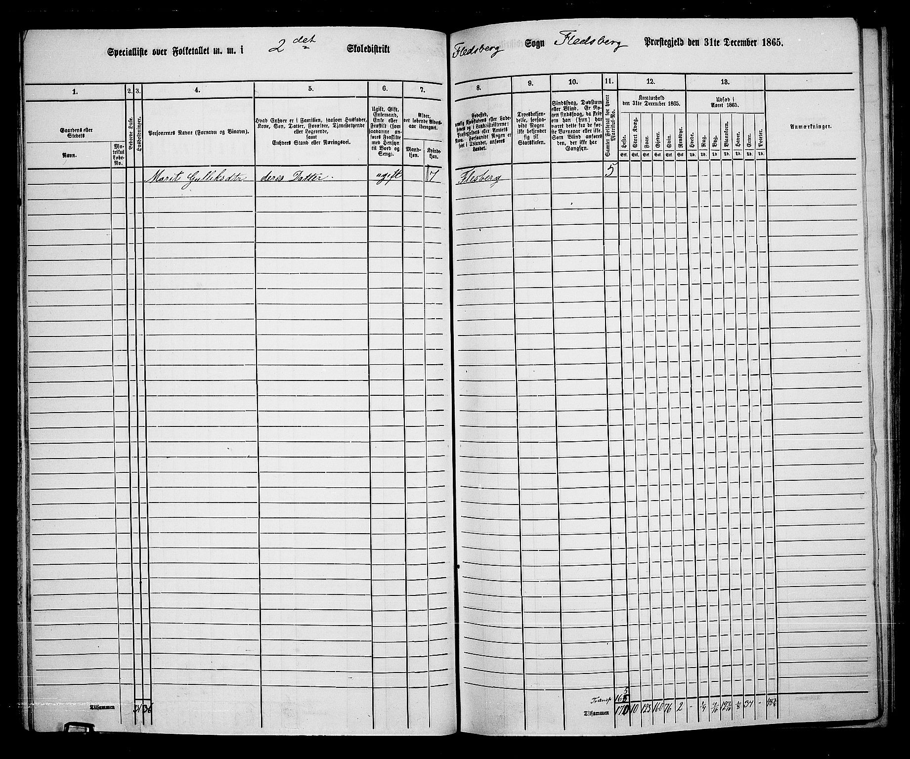 RA, 1865 census for Flesberg, 1865, p. 38