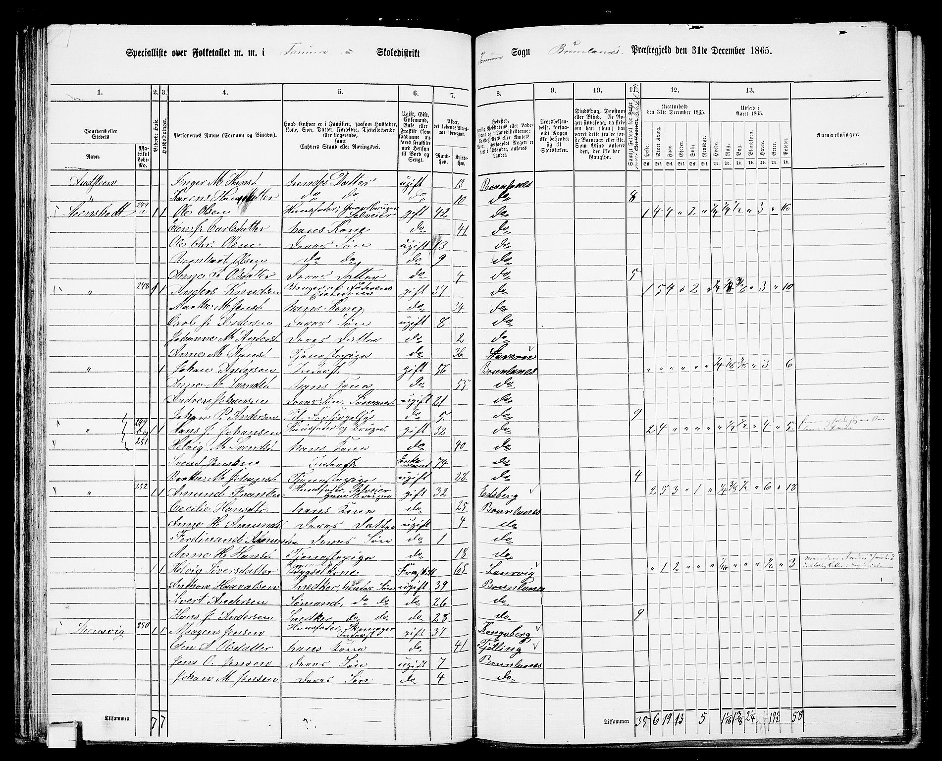 RA, 1865 census for Brunlanes, 1865, p. 60