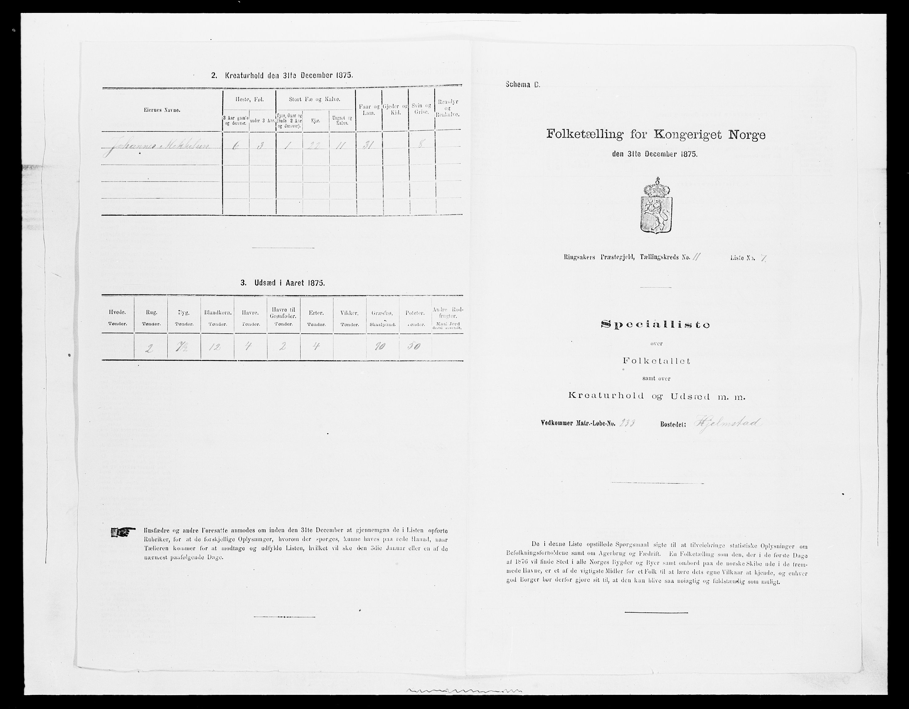SAH, 1875 census for 0412P Ringsaker, 1875, p. 2175
