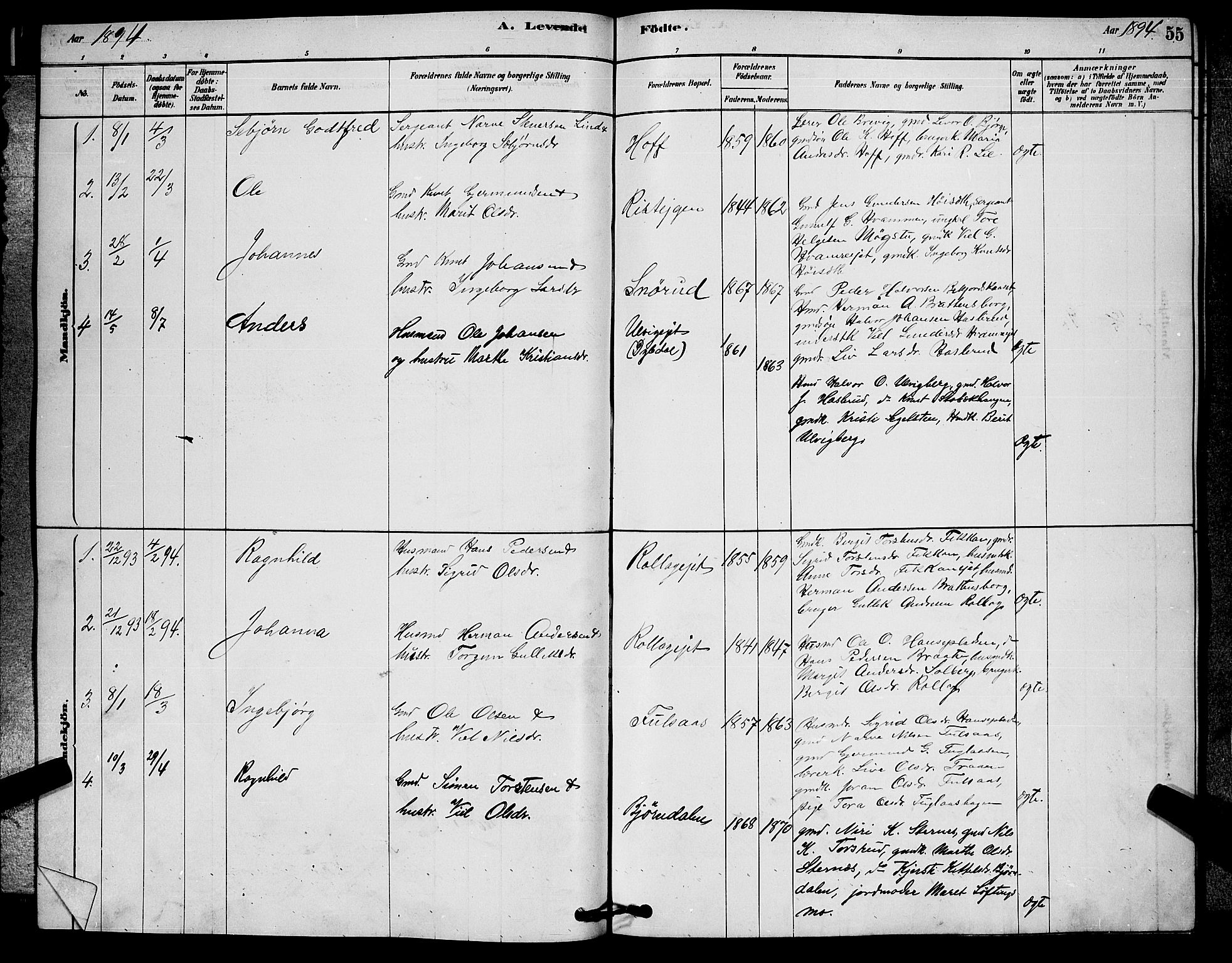 Rollag kirkebøker, SAKO/A-240/G/Ga/L0004: Parish register (copy) no. I 4, 1878-1903, p. 55