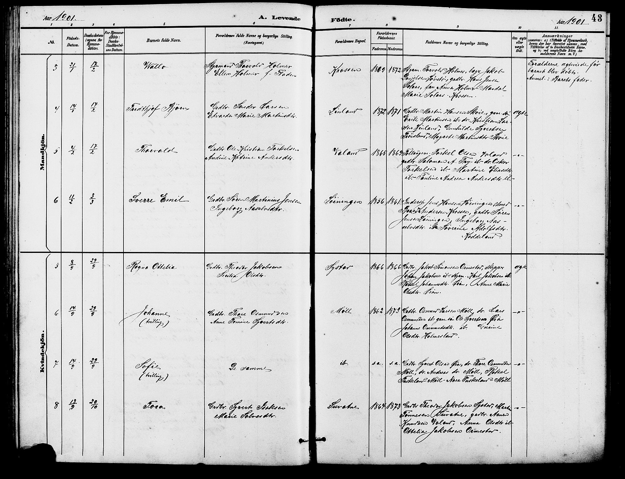 Holum sokneprestkontor, SAK/1111-0022/F/Fb/Fba/L0005: Parish register (copy) no. B 5, 1891-1909, p. 43