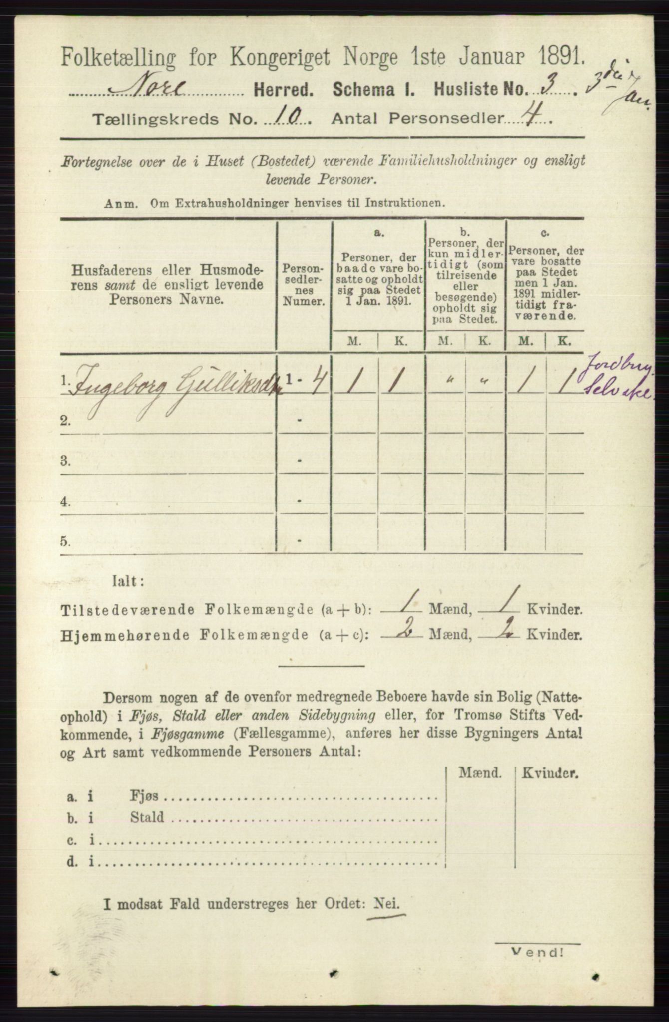 RA, 1891 census for 0633 Nore, 1891, p. 3517