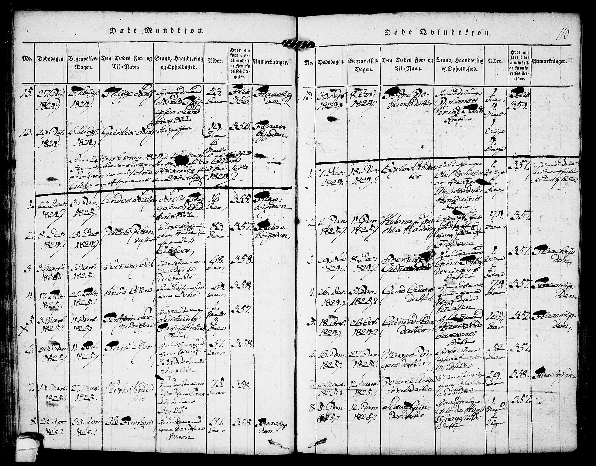 Kviteseid kirkebøker, SAKO/A-276/F/Fa/L0005: Parish register (official) no. I 5, 1815-1836, p. 110