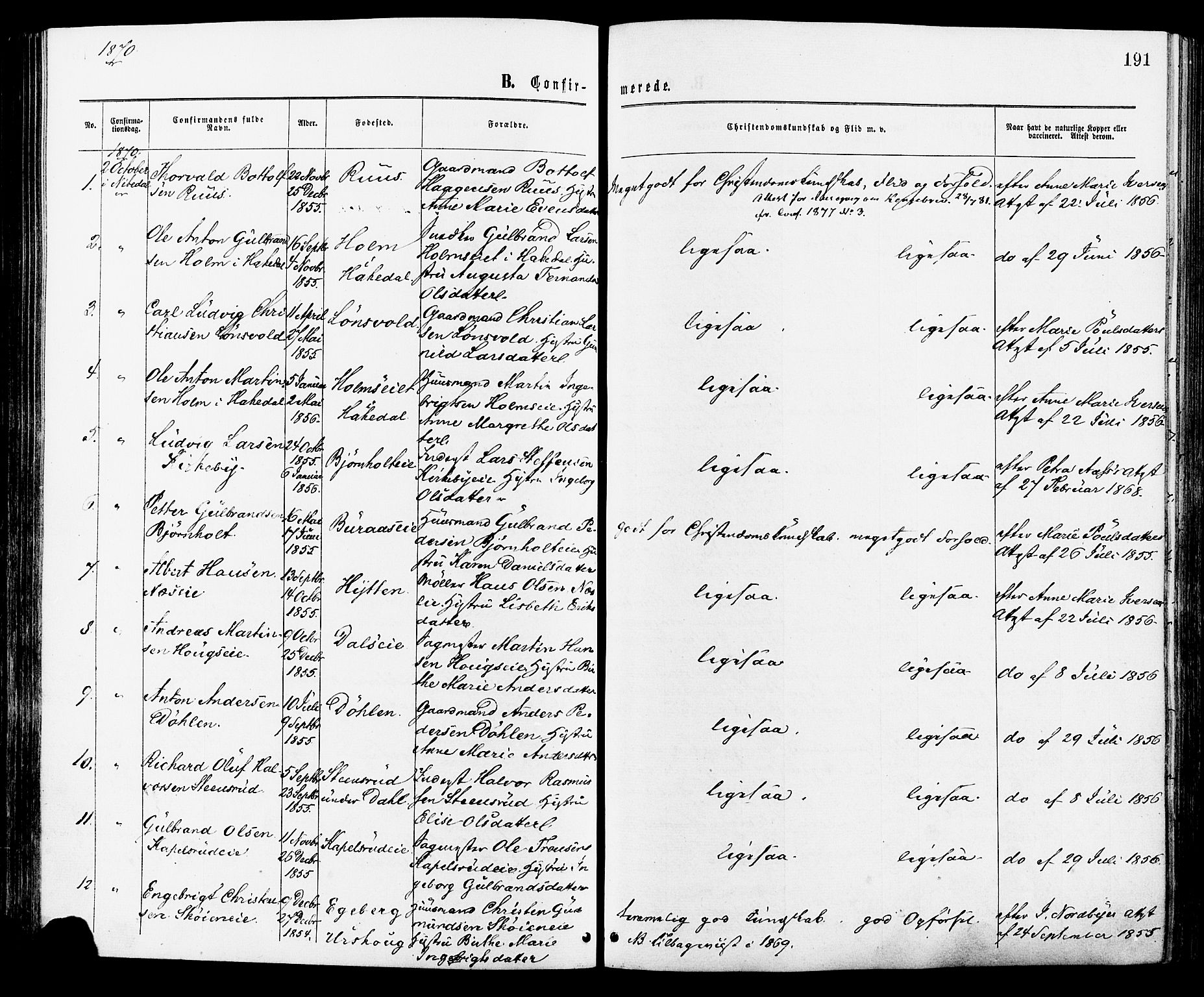 Nittedal prestekontor Kirkebøker, AV/SAO-A-10365a/F/Fa/L0006: Parish register (official) no. I 6, 1863-1878, p. 191