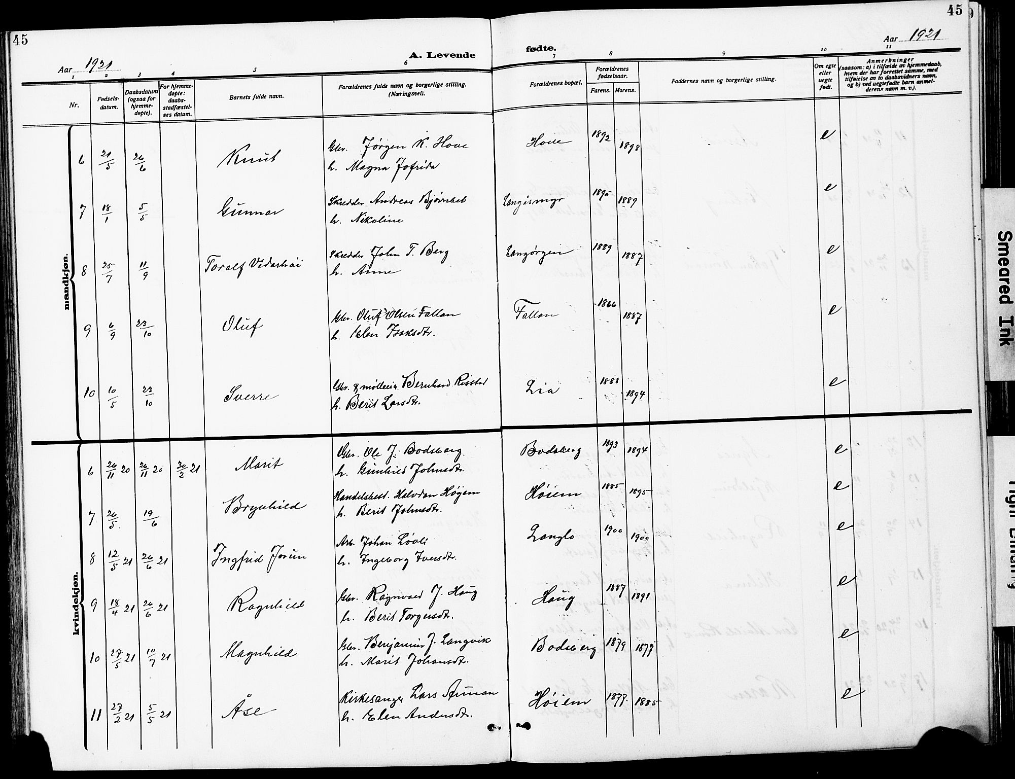 Ministerialprotokoller, klokkerbøker og fødselsregistre - Sør-Trøndelag, SAT/A-1456/612/L0388: Parish register (copy) no. 612C04, 1909-1929, p. 45