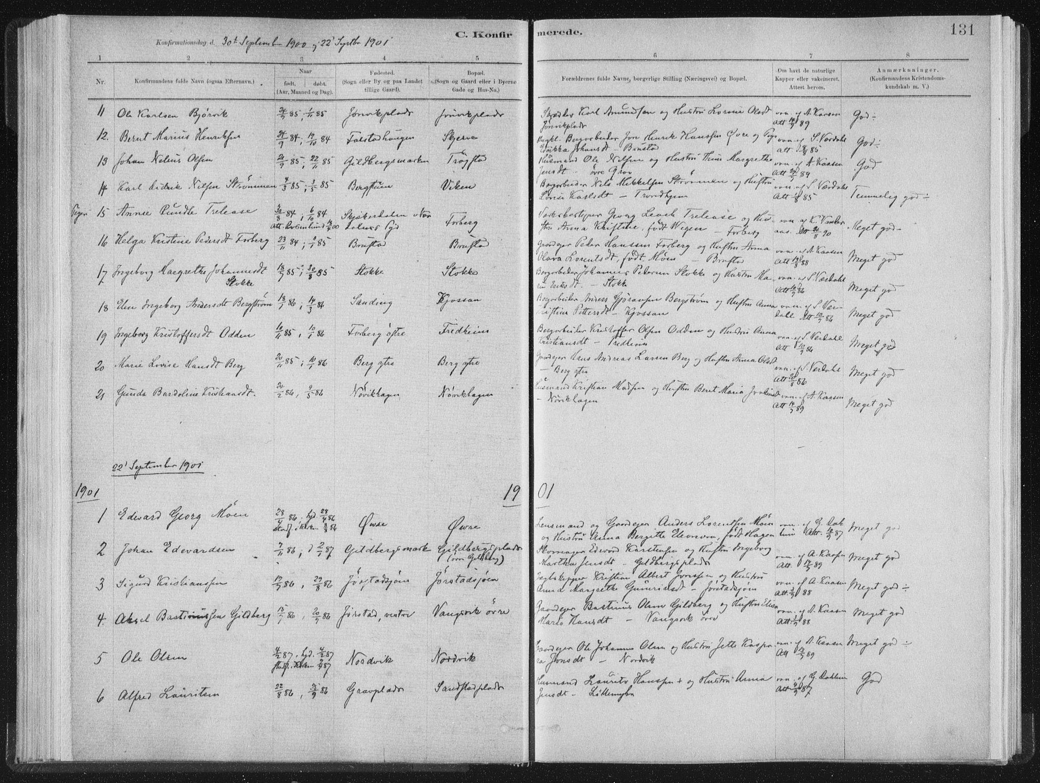 Ministerialprotokoller, klokkerbøker og fødselsregistre - Nord-Trøndelag, AV/SAT-A-1458/722/L0220: Parish register (official) no. 722A07, 1881-1908, p. 131
