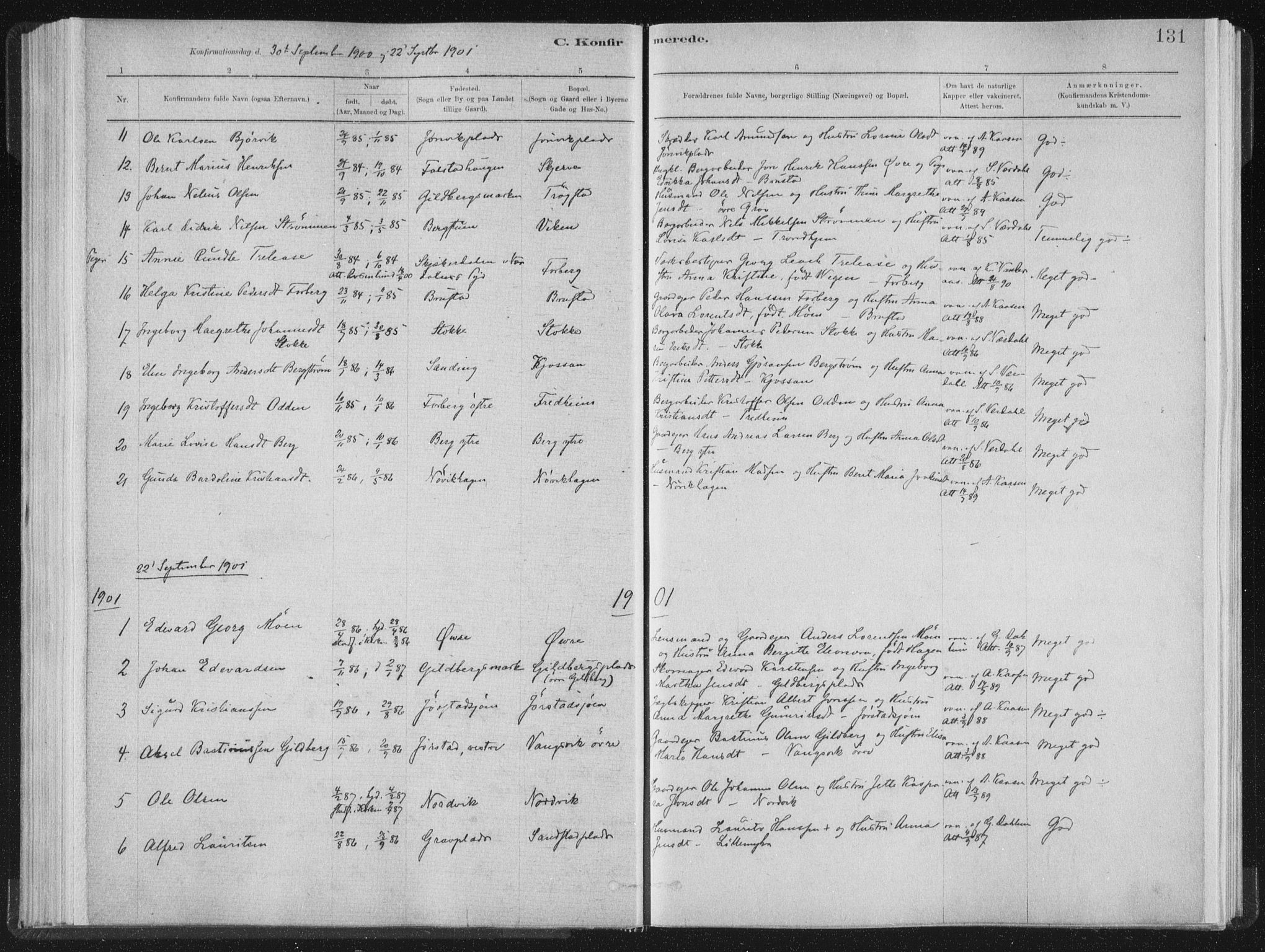 Ministerialprotokoller, klokkerbøker og fødselsregistre - Nord-Trøndelag, AV/SAT-A-1458/722/L0220: Parish register (official) no. 722A07, 1881-1908, p. 131