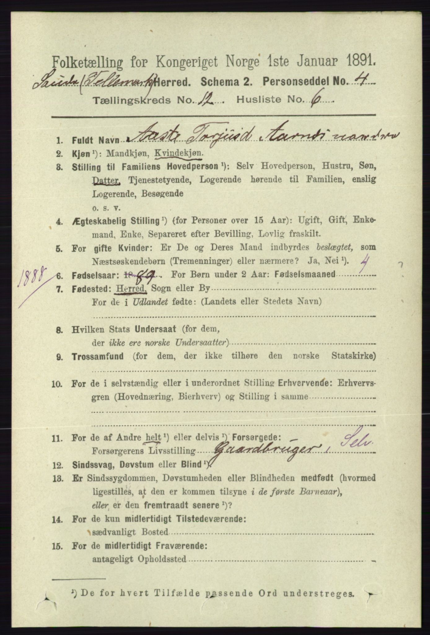 RA, 1891 census for 0822 Sauherad, 1891, p. 3655