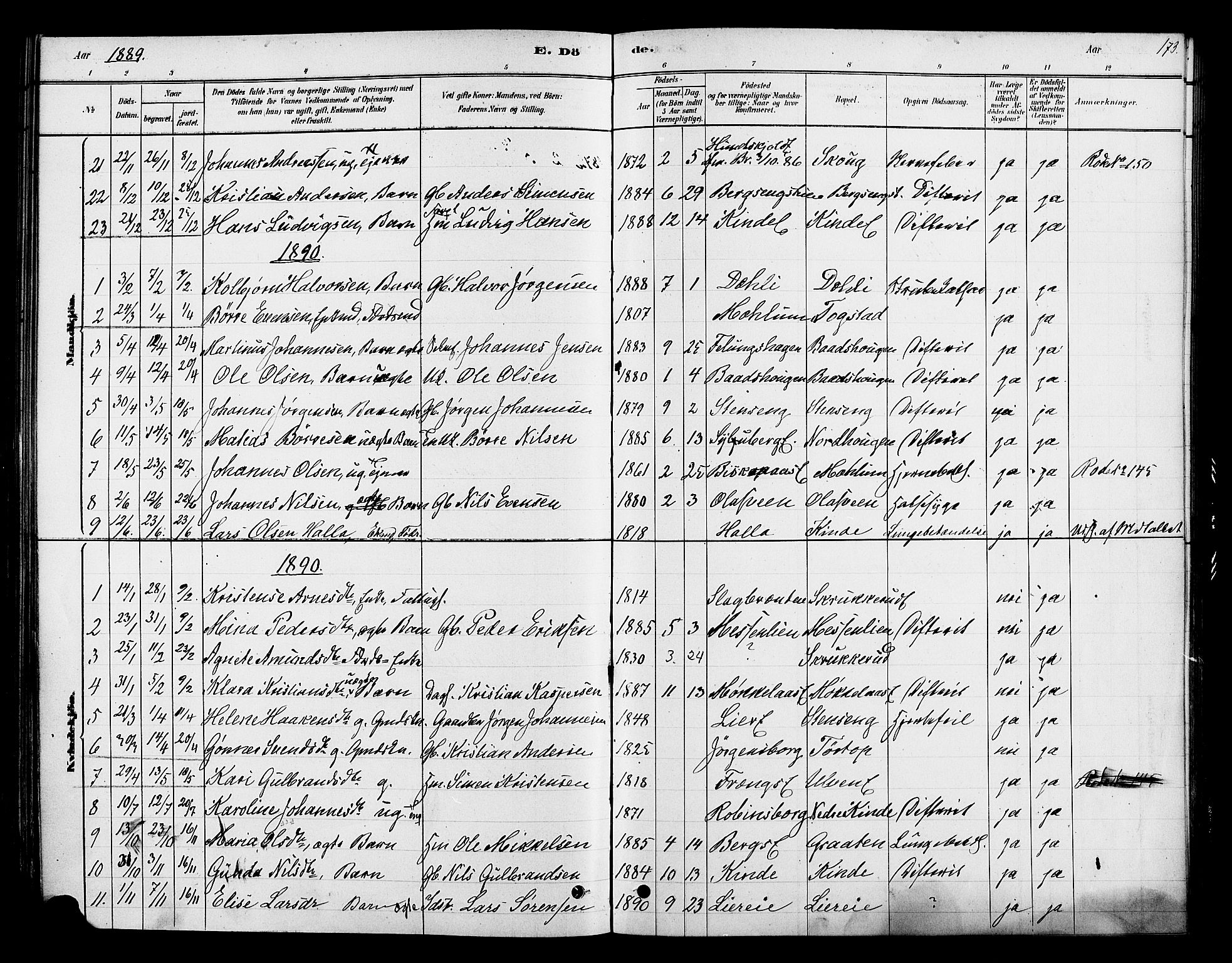 Ringsaker prestekontor, AV/SAH-PREST-014/K/Ka/L0013: Parish register (official) no. 13, 1879-1890, p. 173