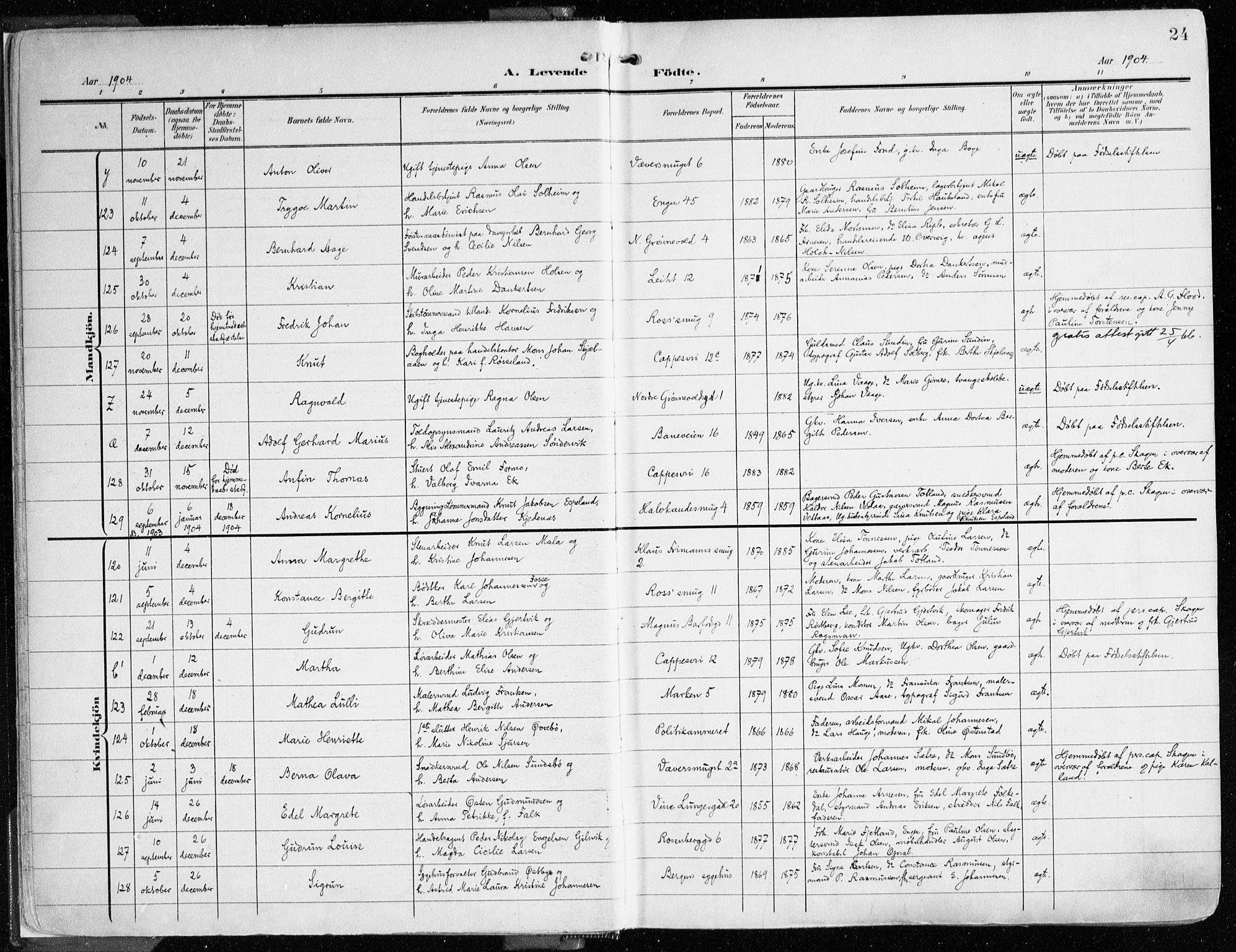 Domkirken sokneprestembete, SAB/A-74801/H/Haa/L0025: Parish register (official) no. B 8, 1903-1925, p. 24