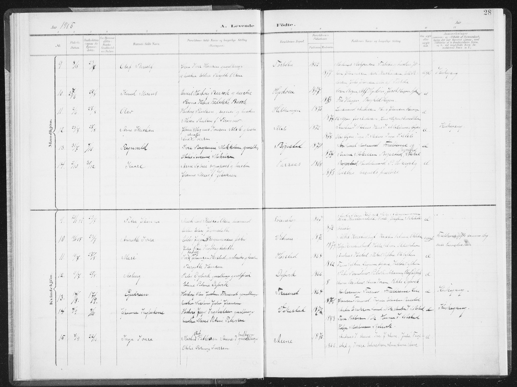 Ministerialprotokoller, klokkerbøker og fødselsregistre - Nordland, AV/SAT-A-1459/810/L0153: Parish register (official) no. 810A12, 1899-1914, p. 28