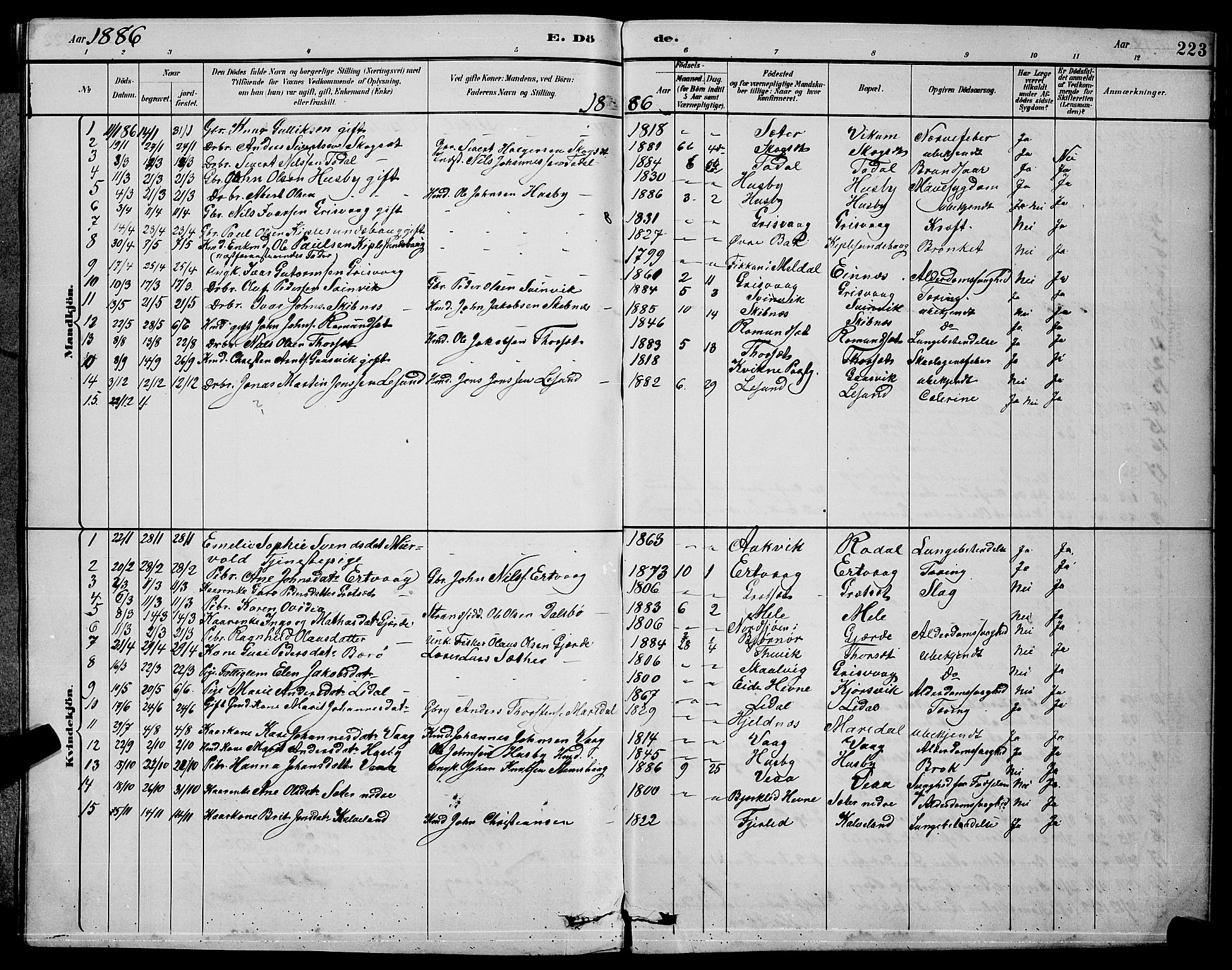 Ministerialprotokoller, klokkerbøker og fødselsregistre - Møre og Romsdal, AV/SAT-A-1454/578/L0909: Parish register (copy) no. 578C02, 1882-1900, p. 223