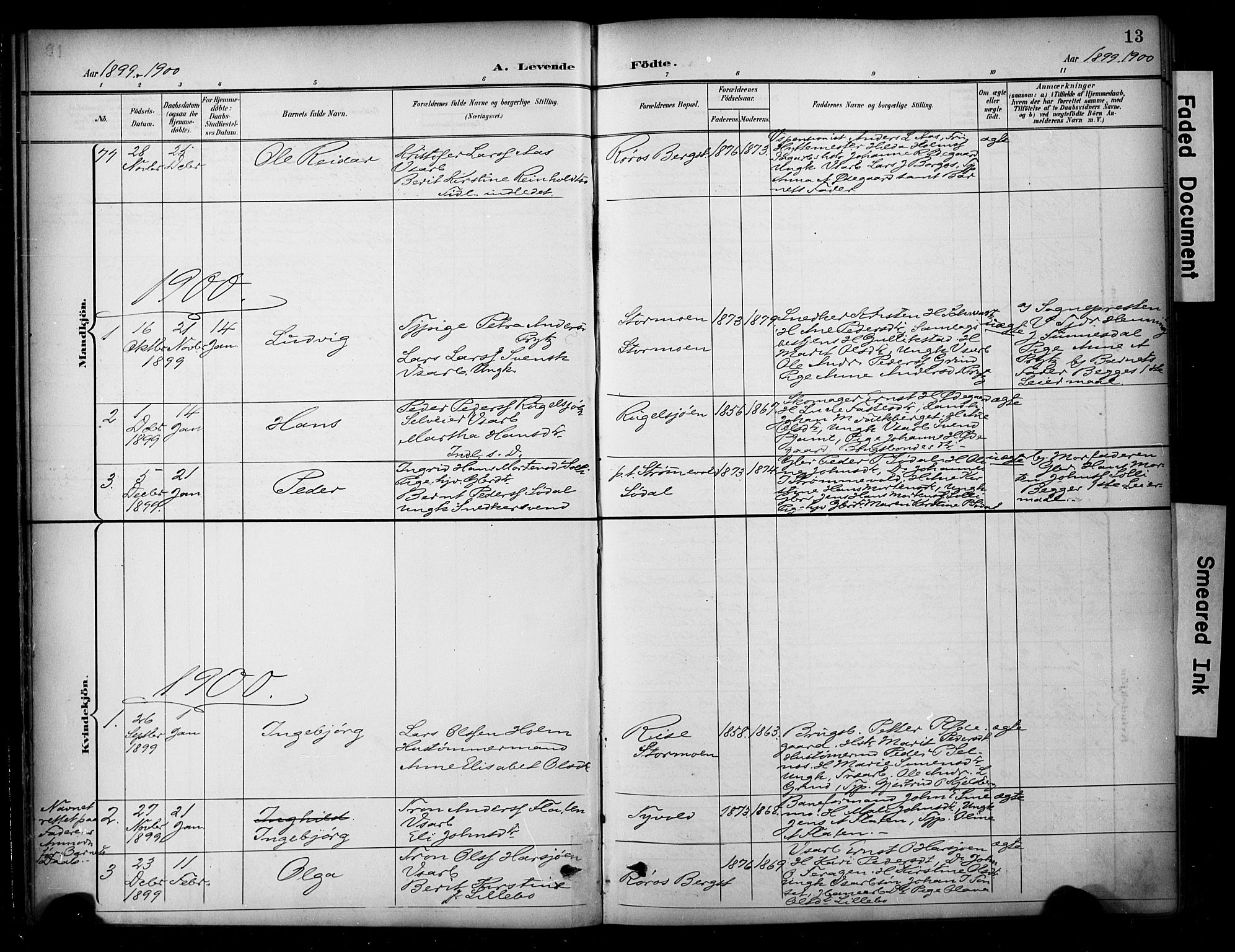 Ministerialprotokoller, klokkerbøker og fødselsregistre - Sør-Trøndelag, SAT/A-1456/681/L0936: Parish register (official) no. 681A14, 1899-1908, p. 13