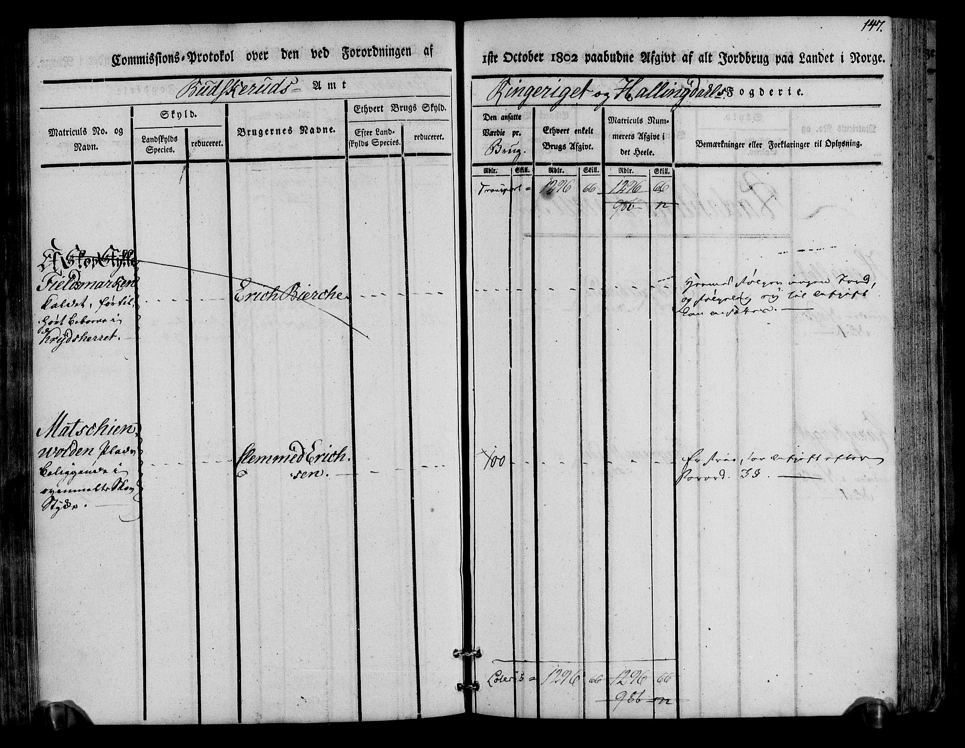 Rentekammeret inntil 1814, Realistisk ordnet avdeling, RA/EA-4070/N/Ne/Nea/L0045: Ringerike og Hallingdal fogderi. Kommisjonsprotokoll for Norderhov prestegjeld, 1803, p. 150