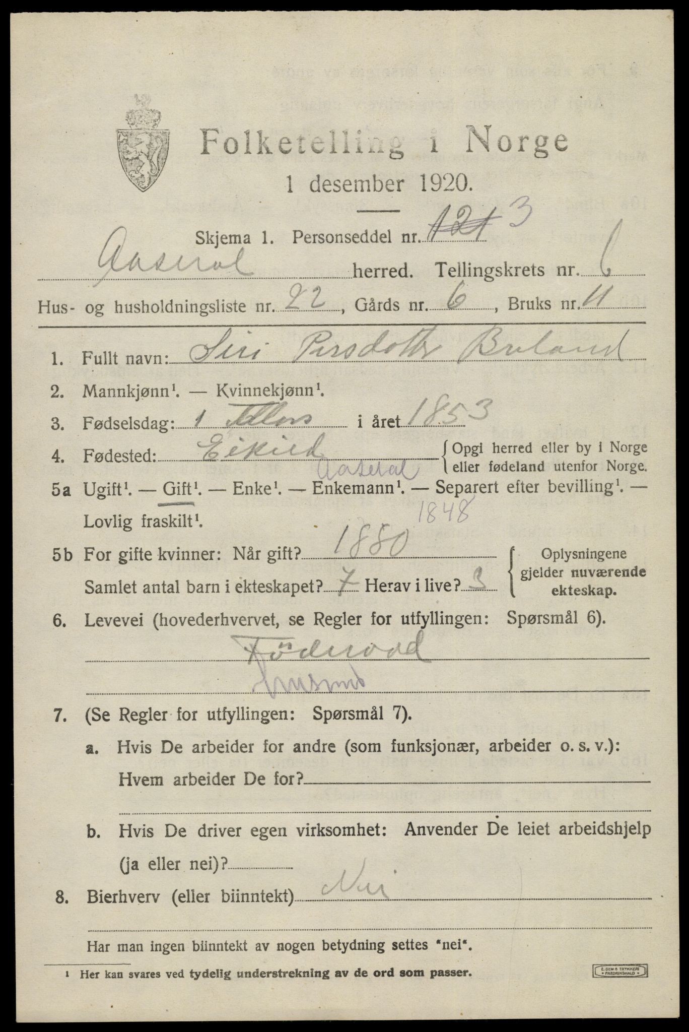 SAK, 1920 census for Åseral, 1920, p. 2038