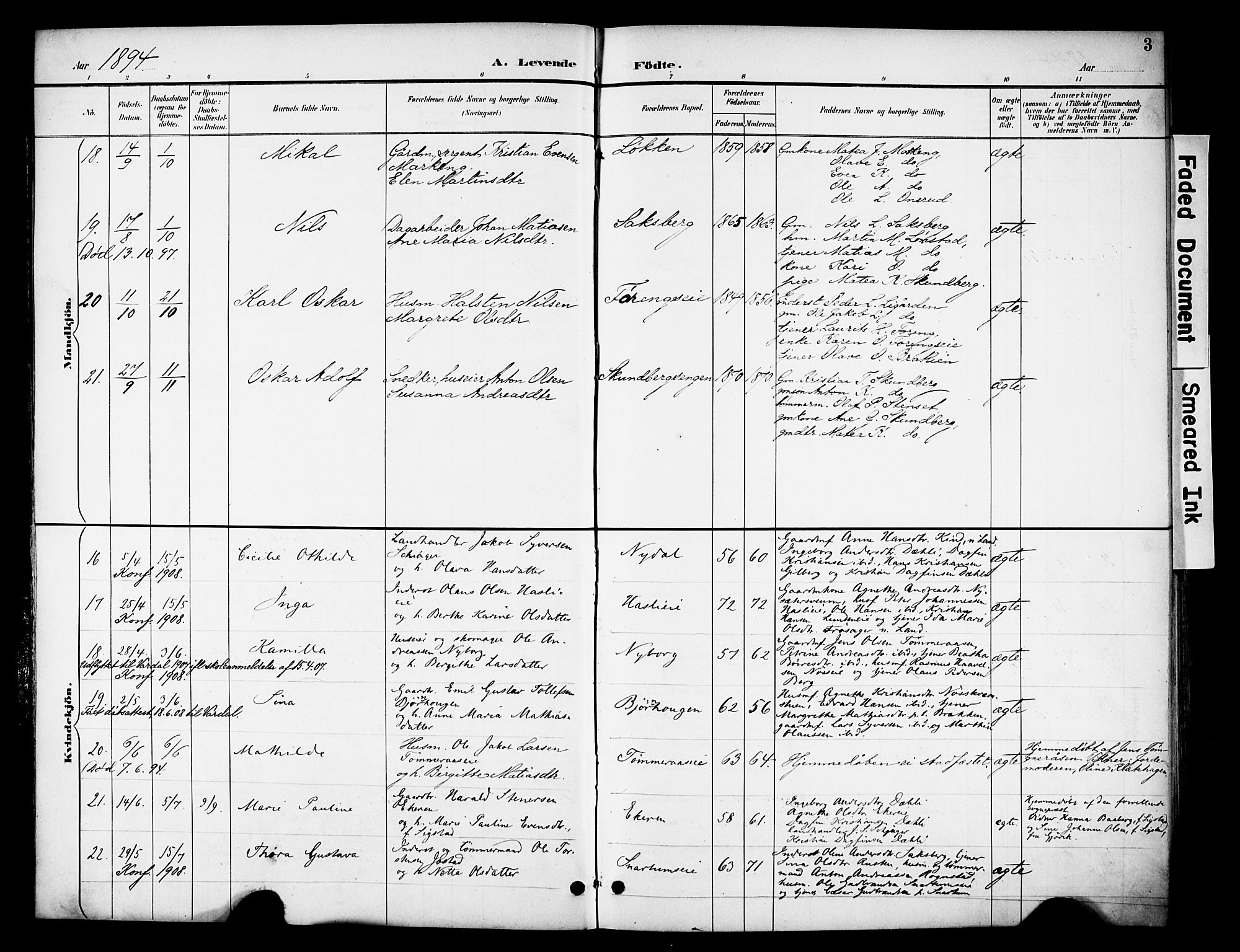 Biri prestekontor, AV/SAH-PREST-096/H/Ha/Haa/L0008: Parish register (official) no. 8, 1894-1901, p. 3