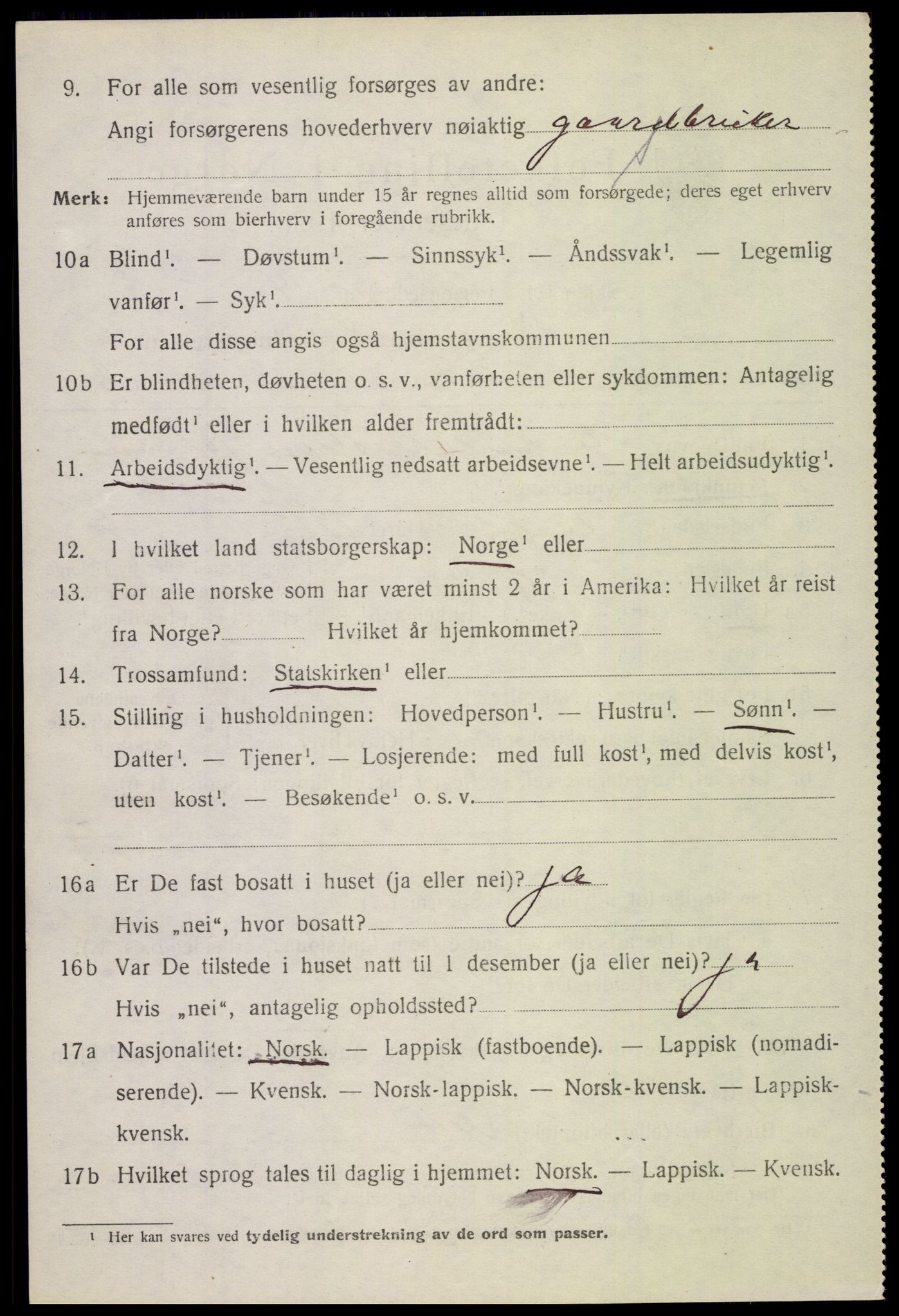 SAT, 1920 census for Borge, 1920, p. 6384