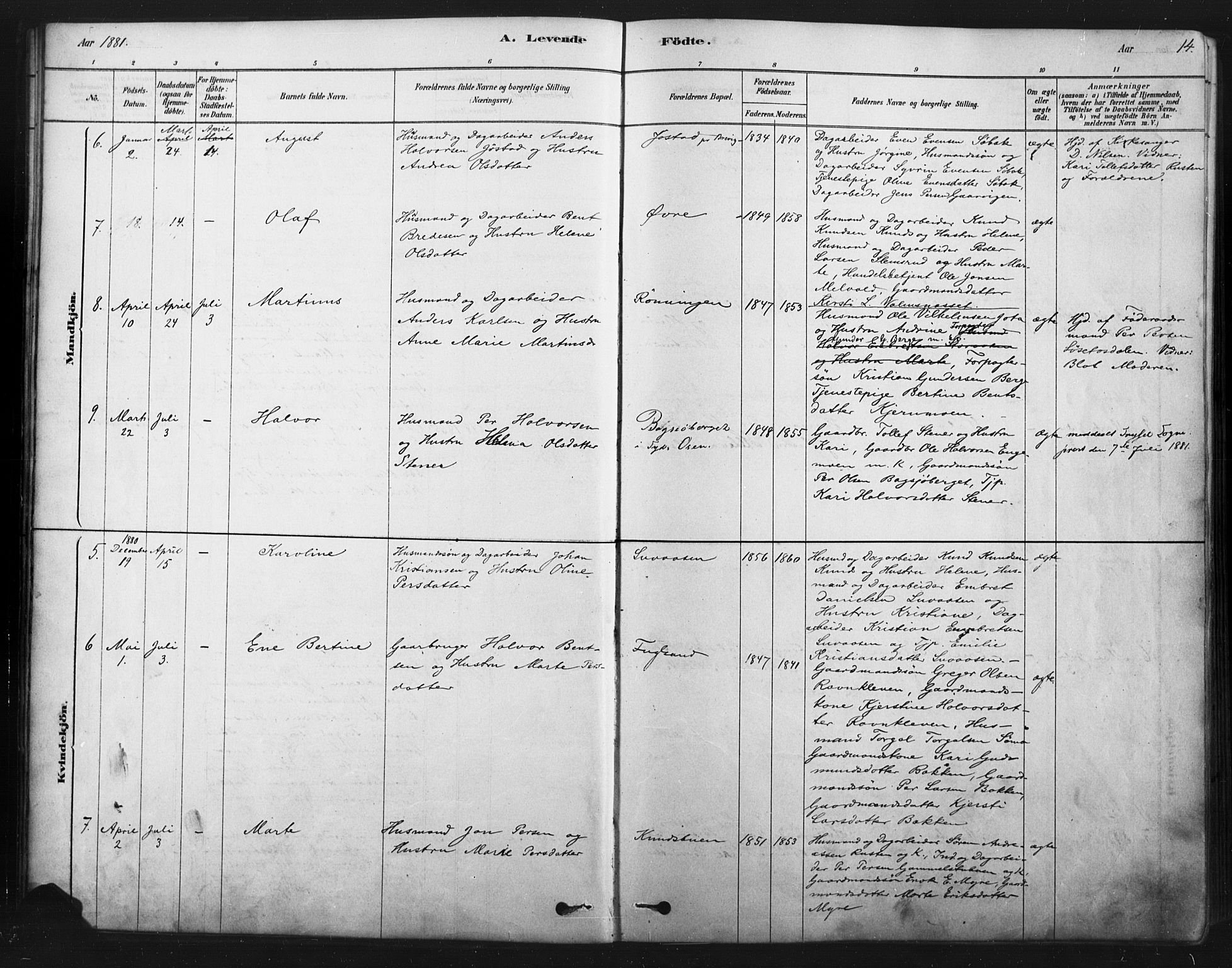 Åmot prestekontor, Hedmark, SAH/PREST-056/H/Ha/Haa/L0012: Parish register (official) no. 12, 1878-1901, p. 14