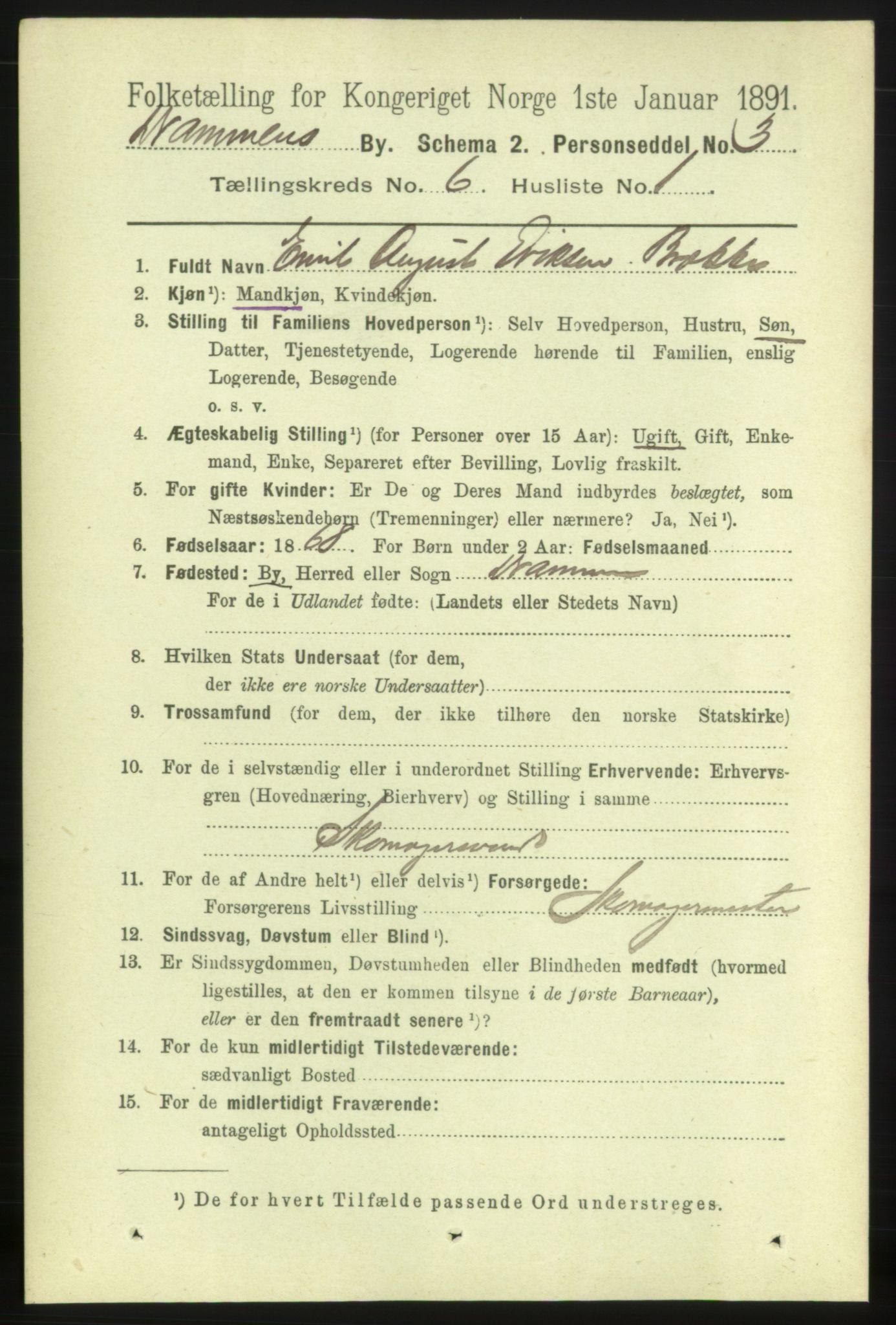 RA, 1891 census for 0602 Drammen, 1891, p. 6094