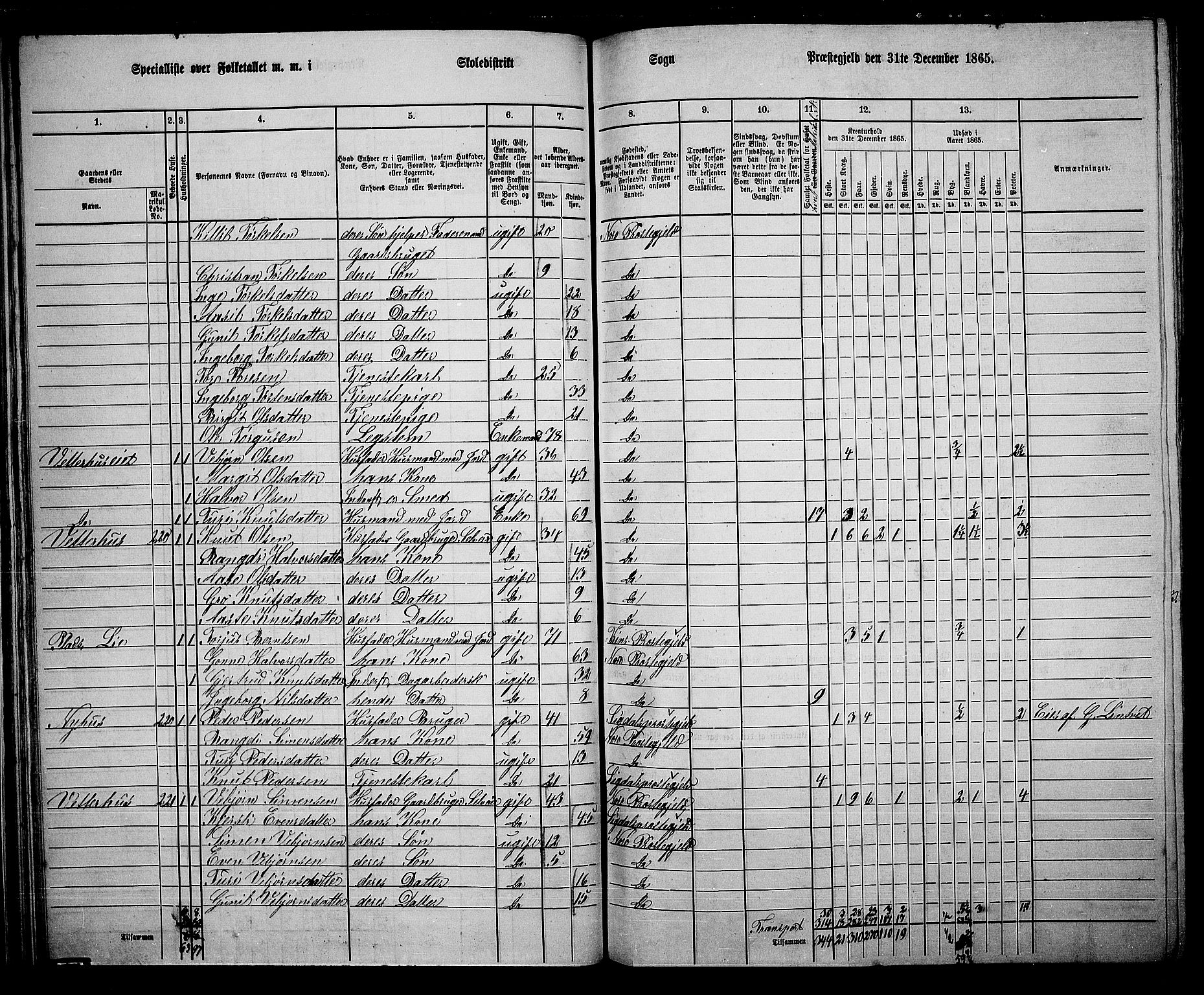 RA, 1865 census for Nore, 1865, p. 40