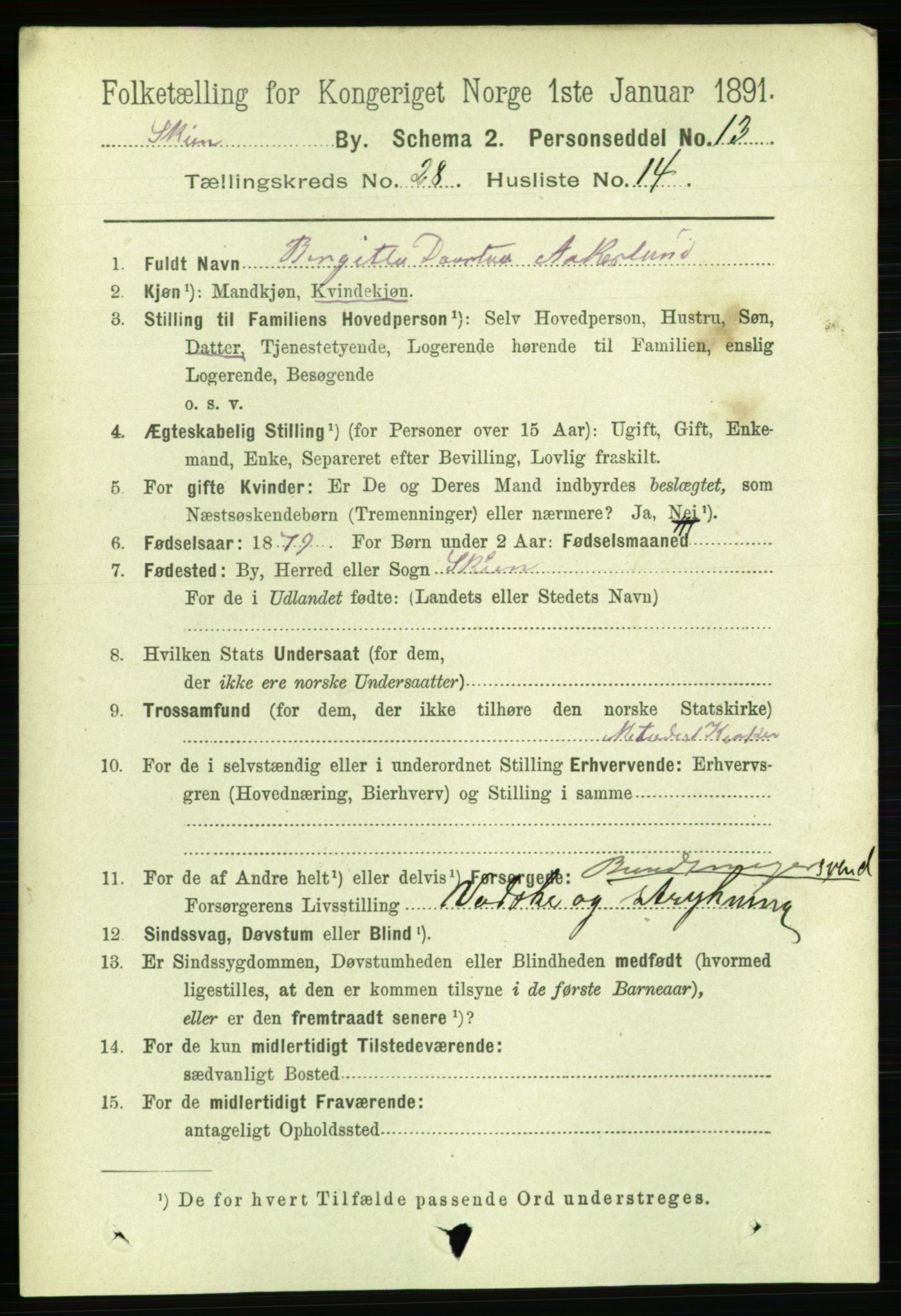 RA, 1891 census for 0806 Skien, 1891, p. 6688