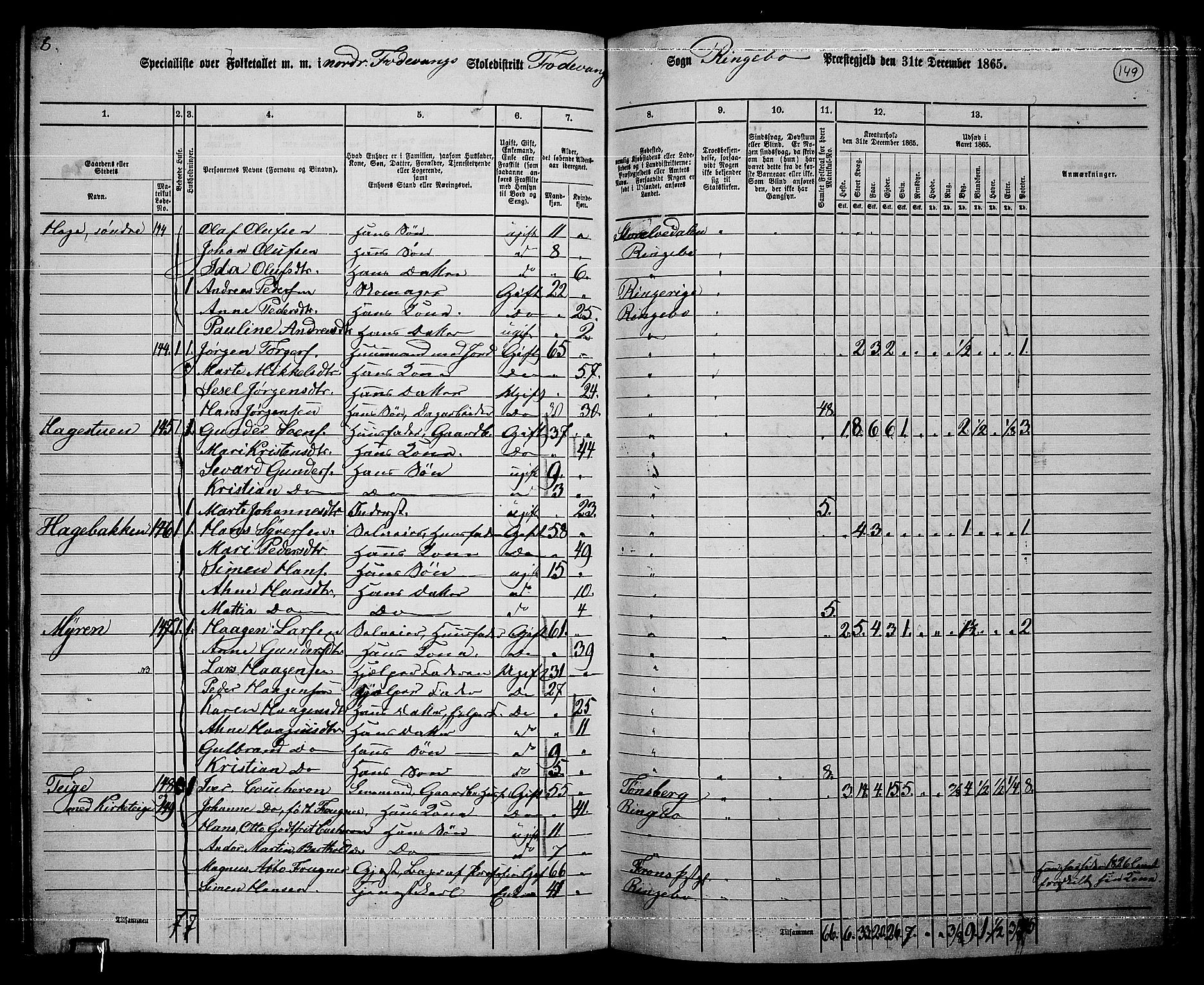 RA, 1865 census for Ringebu, 1865, p. 124