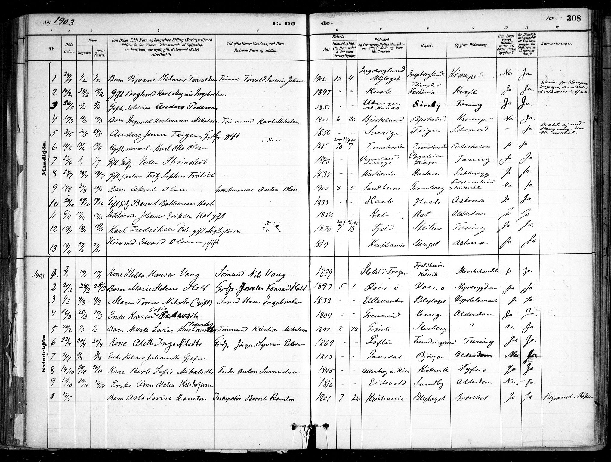Nesodden prestekontor Kirkebøker, SAO/A-10013/F/Fa/L0009: Parish register (official) no. I 9, 1880-1915, p. 308