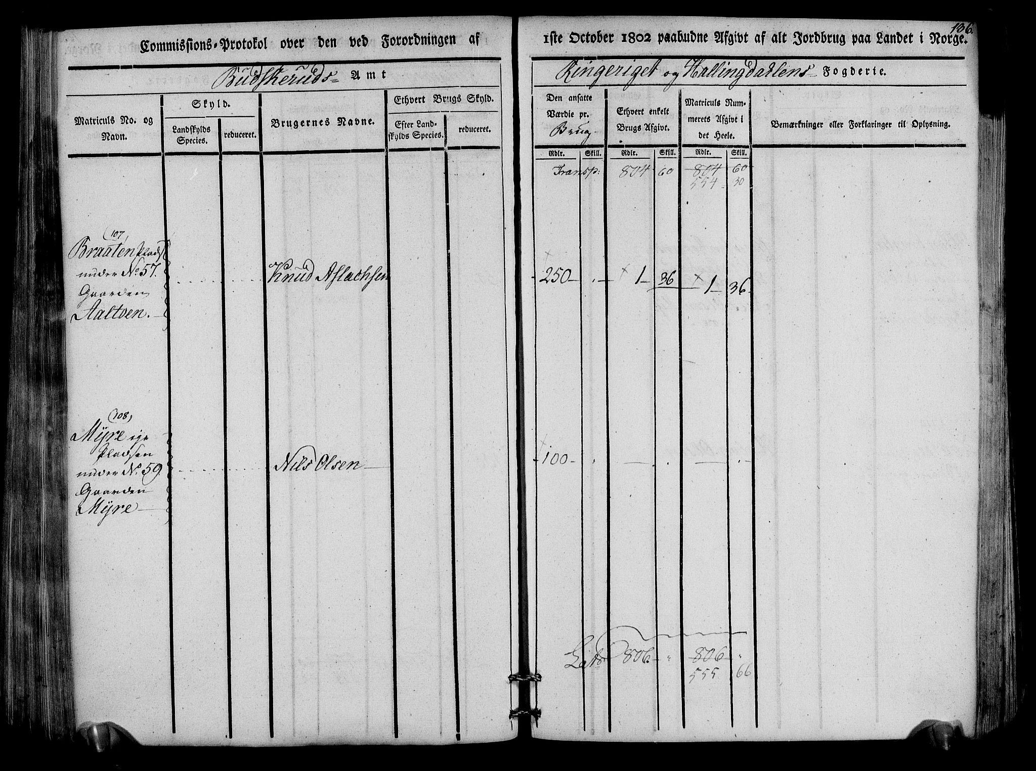 Rentekammeret inntil 1814, Realistisk ordnet avdeling, RA/EA-4070/N/Ne/Nea/L0047: Ringerike og Hallingdal fogderi. Kommisjonsprotokoll for Nes prestegjeld, 1803, p. 139