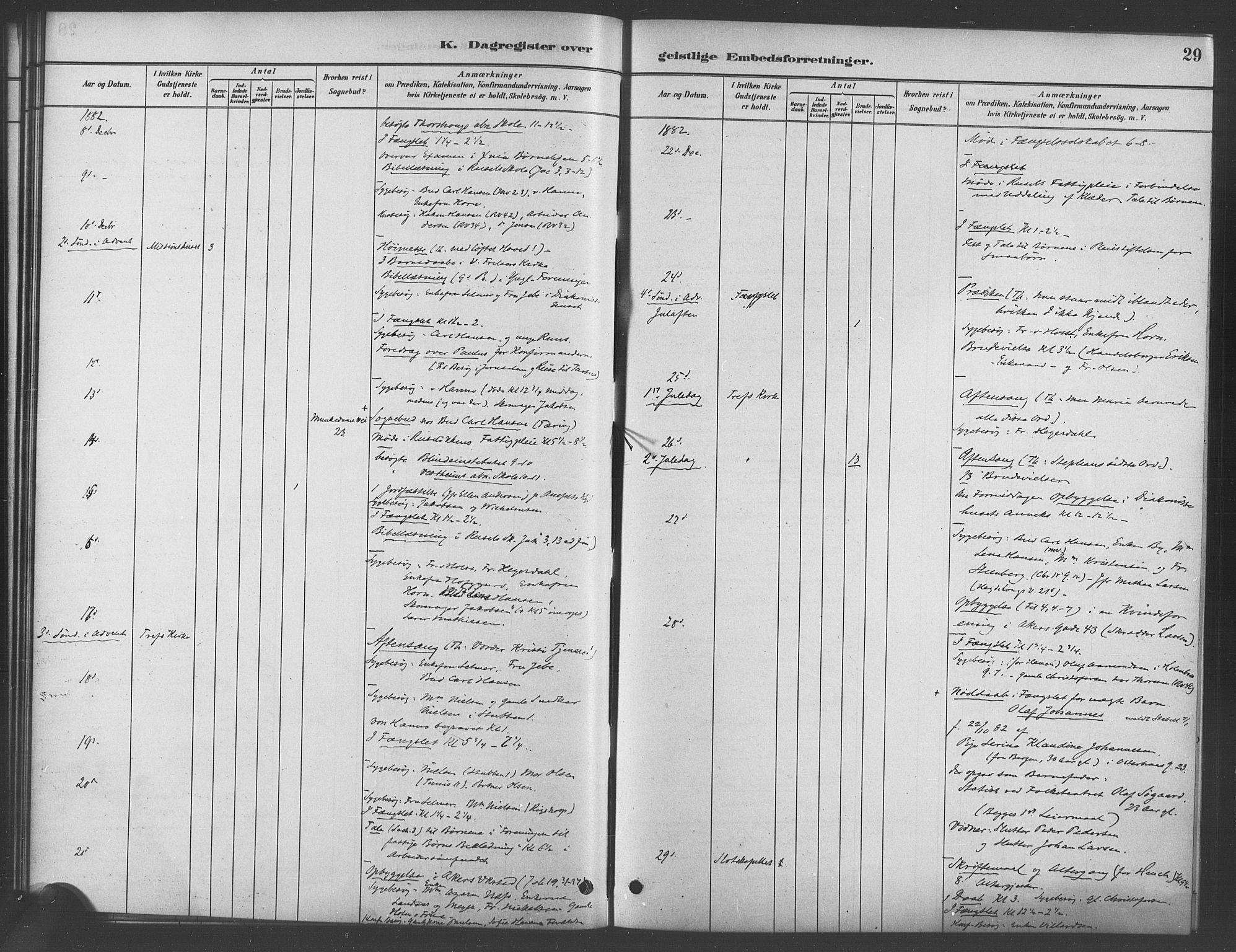 Trefoldighet prestekontor Kirkebøker, AV/SAO-A-10882/I/Ia/L0003: Diary records no. 3, 1881-1901, p. 29