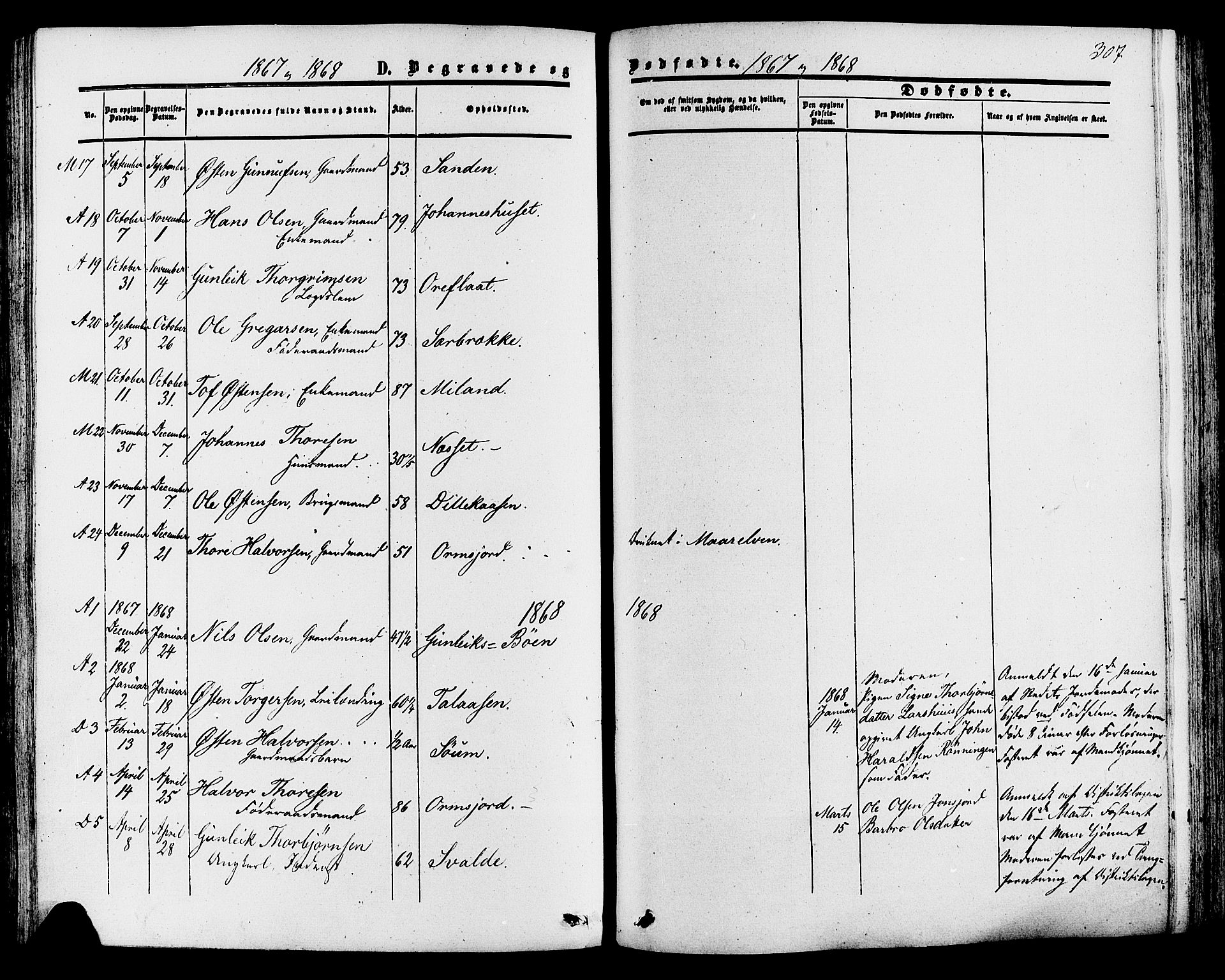 Tinn kirkebøker, SAKO/A-308/F/Fa/L0006: Parish register (official) no. I 6, 1857-1878, p. 307