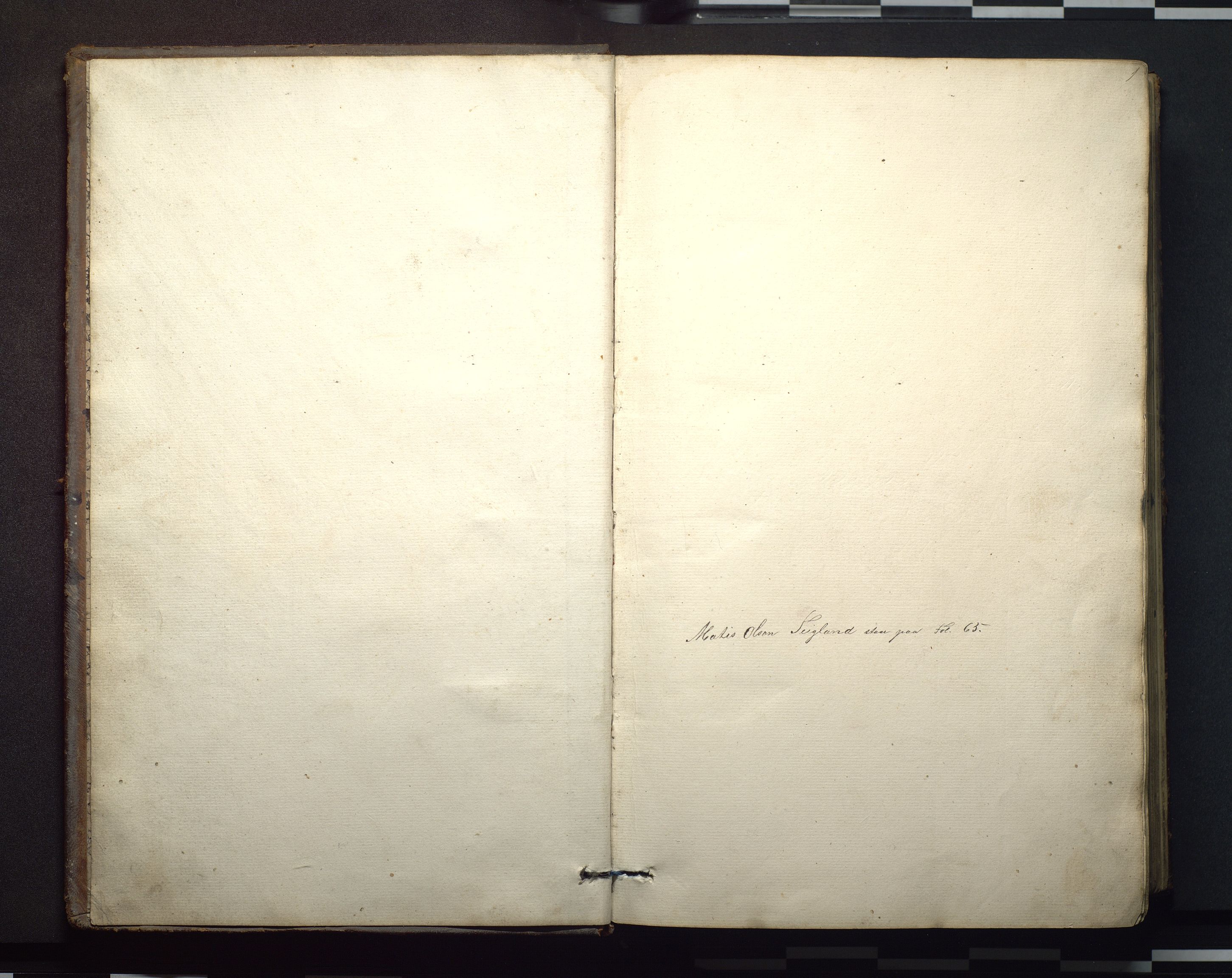 Finnaas kommune. Overformynderiet, IKAH/1218a-812/F/Fa/Faa/L0002: Stor rulle for Finnås overformynderi, 1860-1889