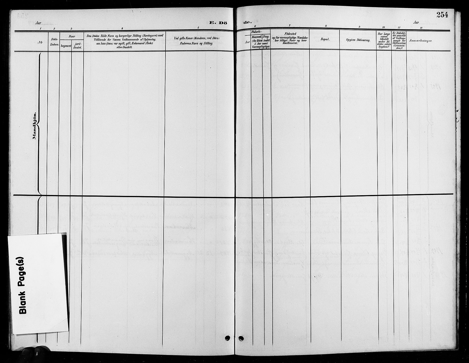 Eidsvoll prestekontor Kirkebøker, AV/SAO-A-10888/G/Ga/L0007: Parish register (copy) no. I 7, 1901-1909, p. 254