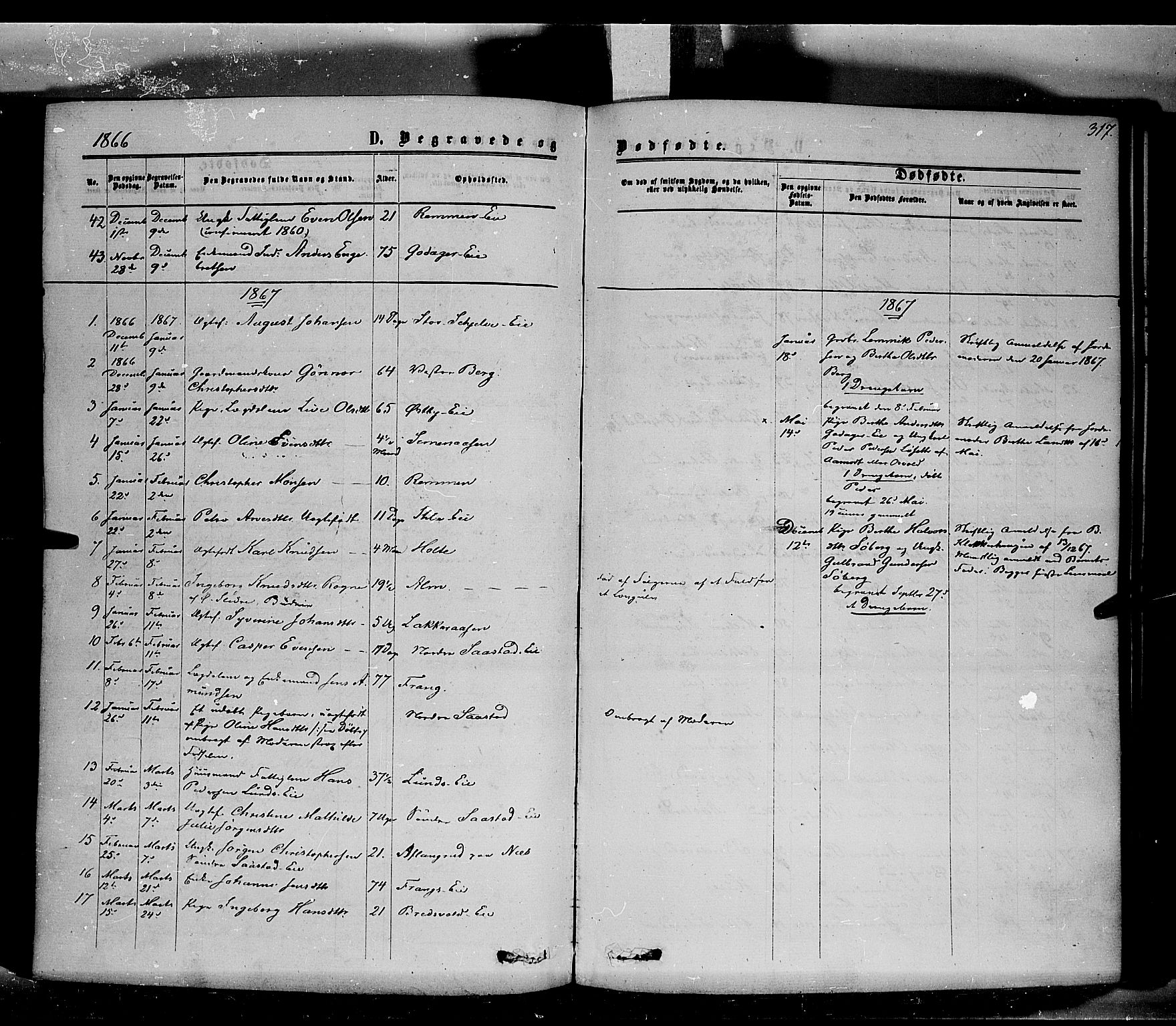 Stange prestekontor, SAH/PREST-002/K/L0013: Parish register (official) no. 13, 1862-1879, p. 317