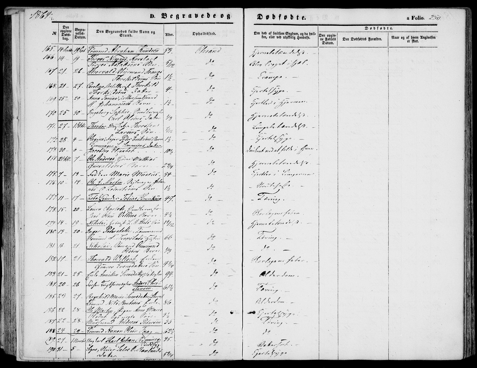 Kristiansand domprosti, SAK/1112-0006/F/Fb/L0012: Parish register (copy) no. B 12, 1861-1870, p. 250