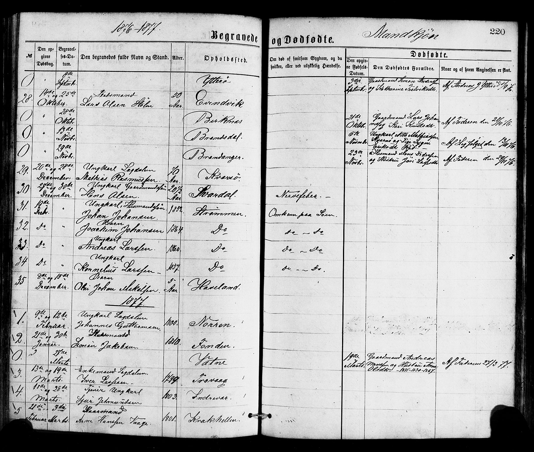 Gulen sokneprestembete, SAB/A-80201/H/Haa/Haaa/L0023: Parish register (official) no. A 23, 1870-1880, p. 220