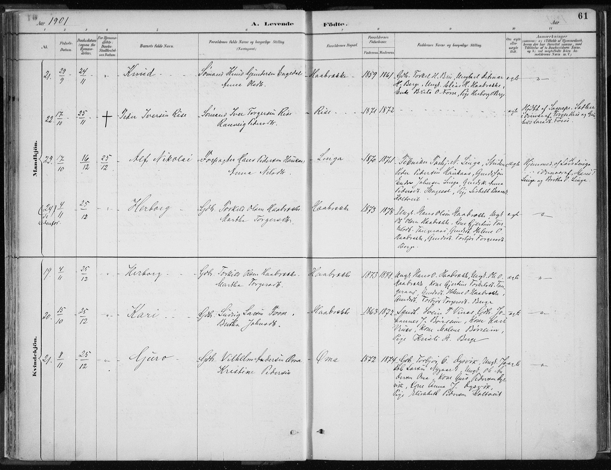 Strandebarm sokneprestembete, AV/SAB-A-78401/H/Haa: Parish register (official) no. B  1, 1886-1908, p. 61