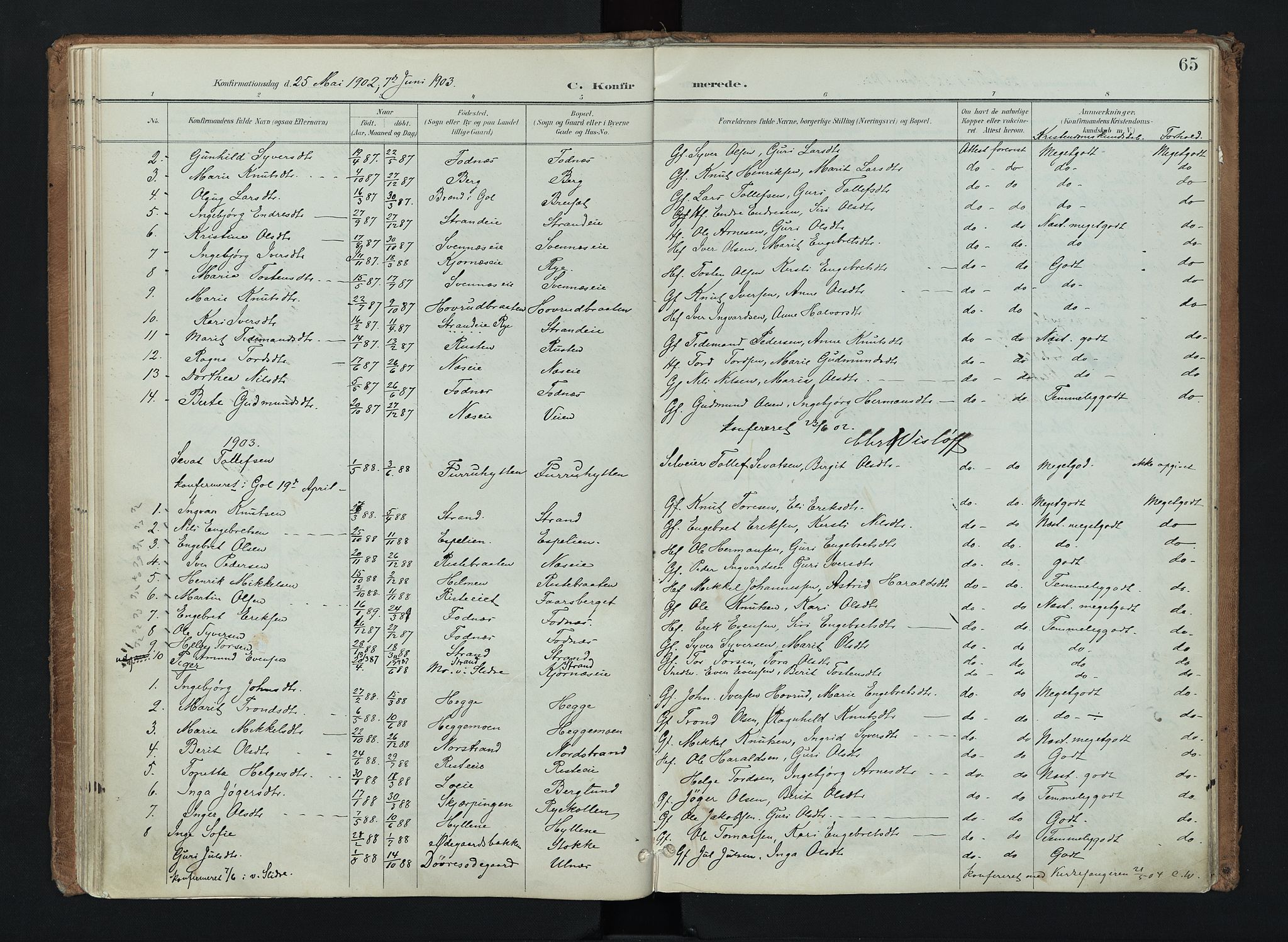 Nord-Aurdal prestekontor, AV/SAH-PREST-132/H/Ha/Haa/L0016: Parish register (official) no. 16, 1897-1925, p. 65