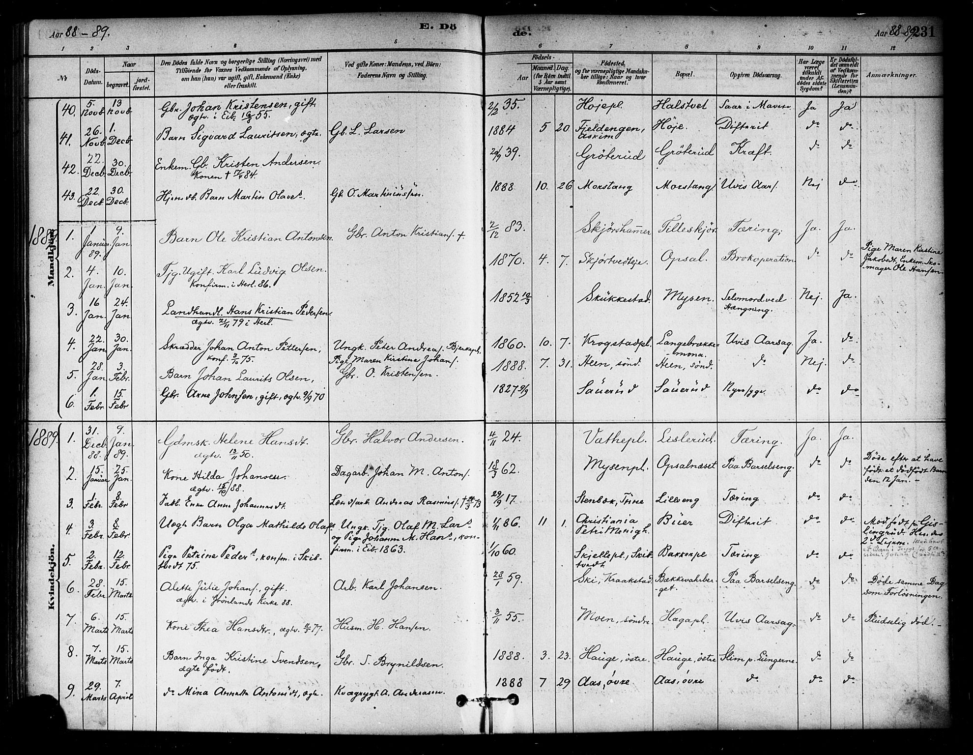 Eidsberg prestekontor Kirkebøker, SAO/A-10905/F/Fa/L0012: Parish register (official) no. I 12, 1879-1901, p. 231