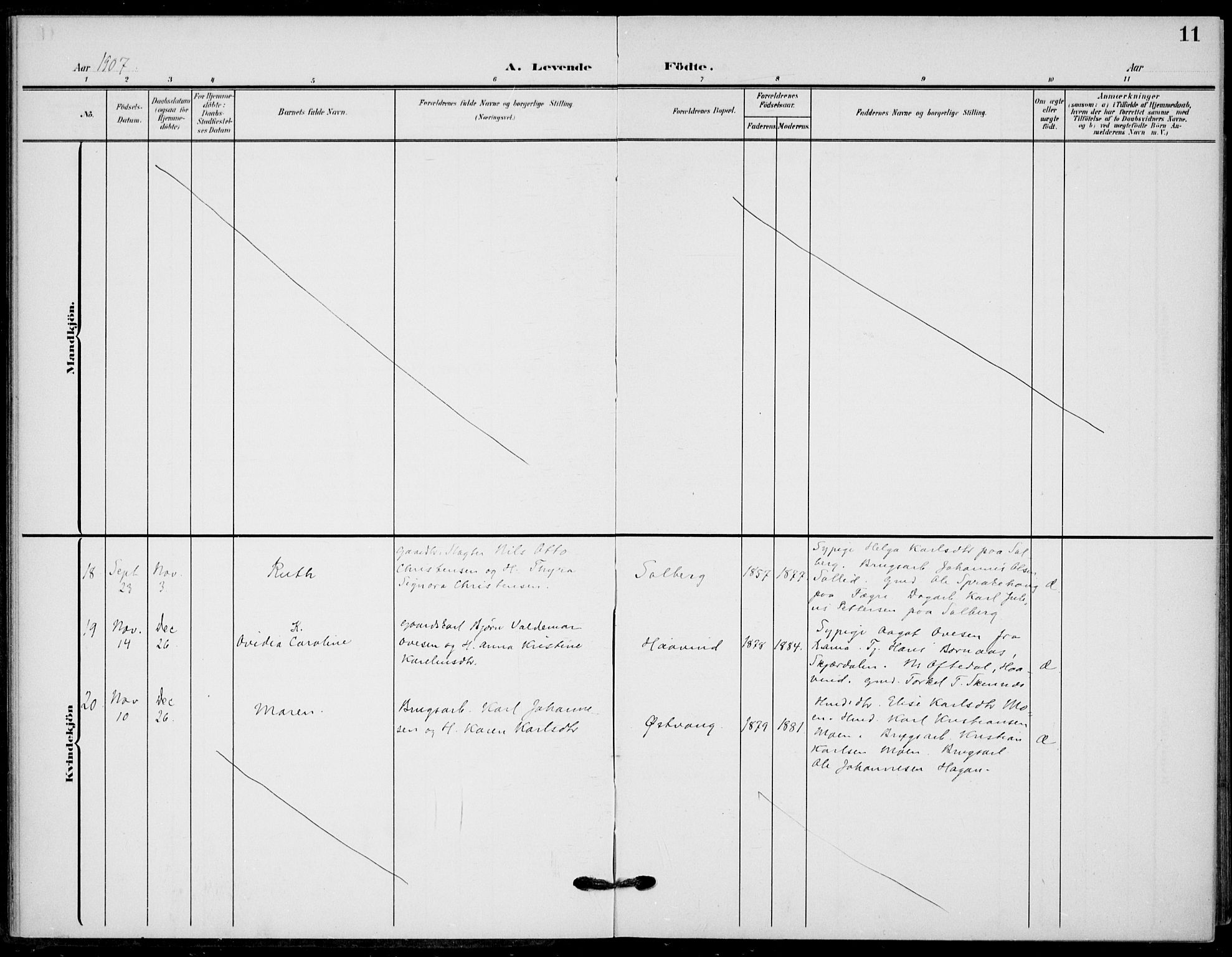 Hole kirkebøker, AV/SAKO-A-228/F/Fb/L0003: Parish register (official) no. II 3, 1906-1916, p. 11