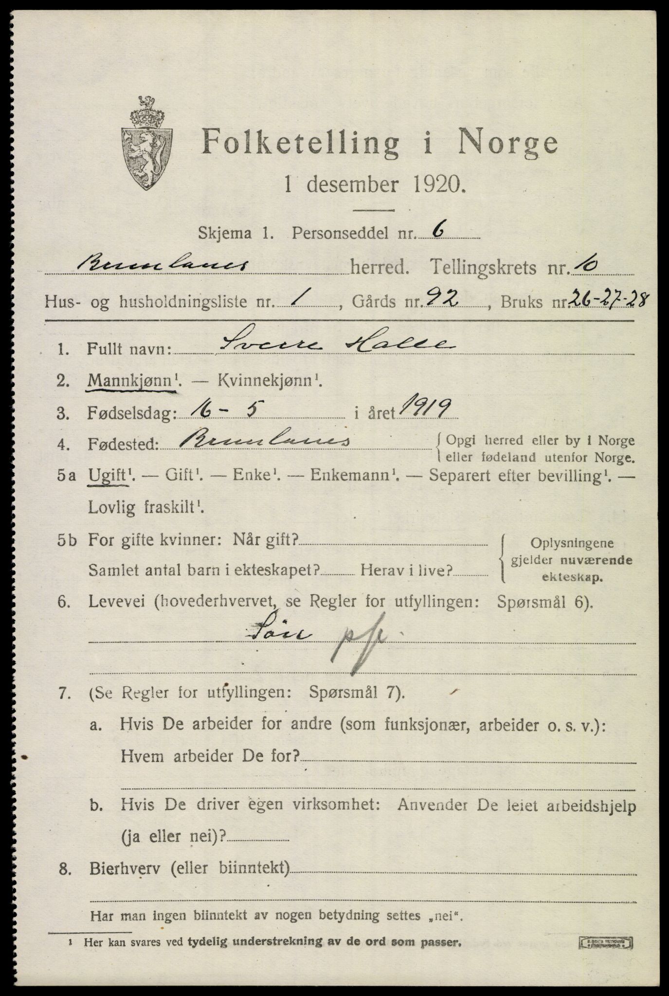 SAKO, 1920 census for Brunlanes, 1920, p. 8617