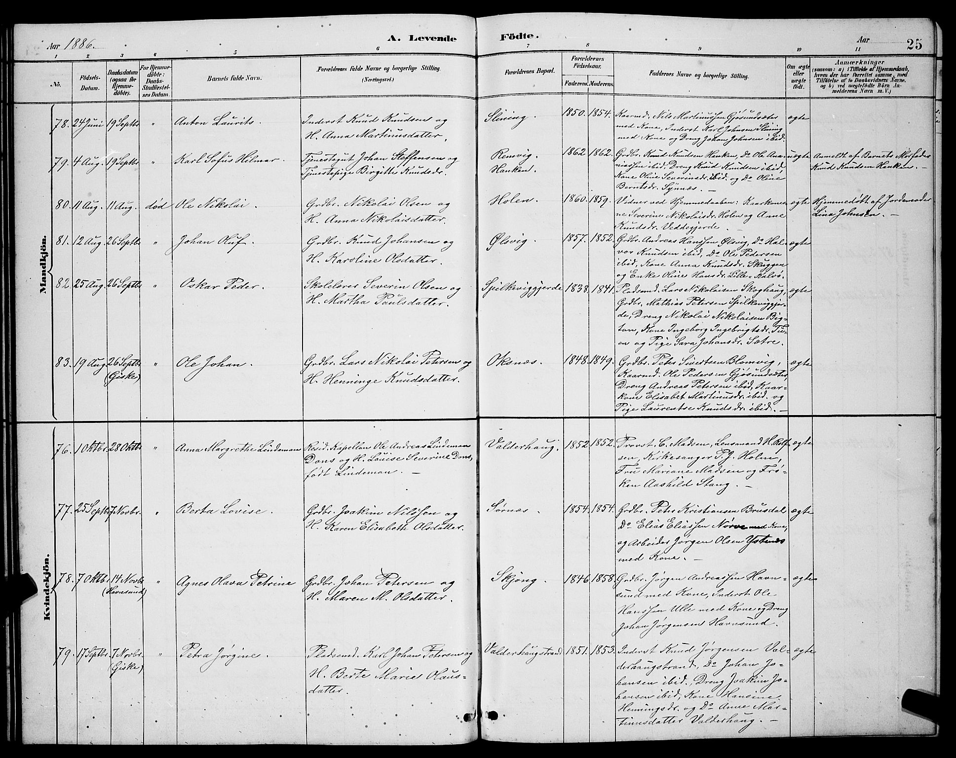 Ministerialprotokoller, klokkerbøker og fødselsregistre - Møre og Romsdal, AV/SAT-A-1454/528/L0431: Parish register (copy) no. 528C12, 1885-1898, p. 25