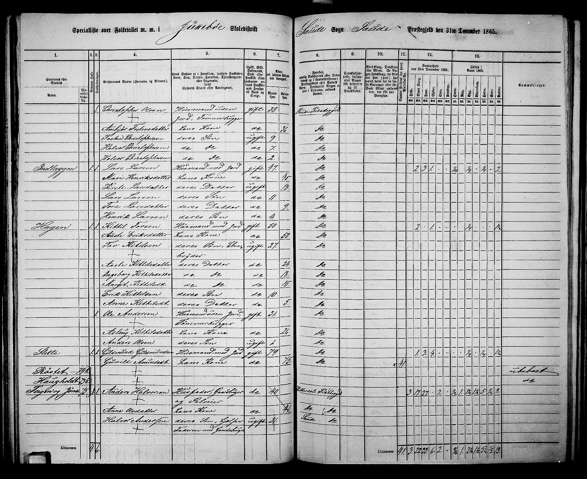 RA, 1865 census for Sauherad, 1865, p. 65