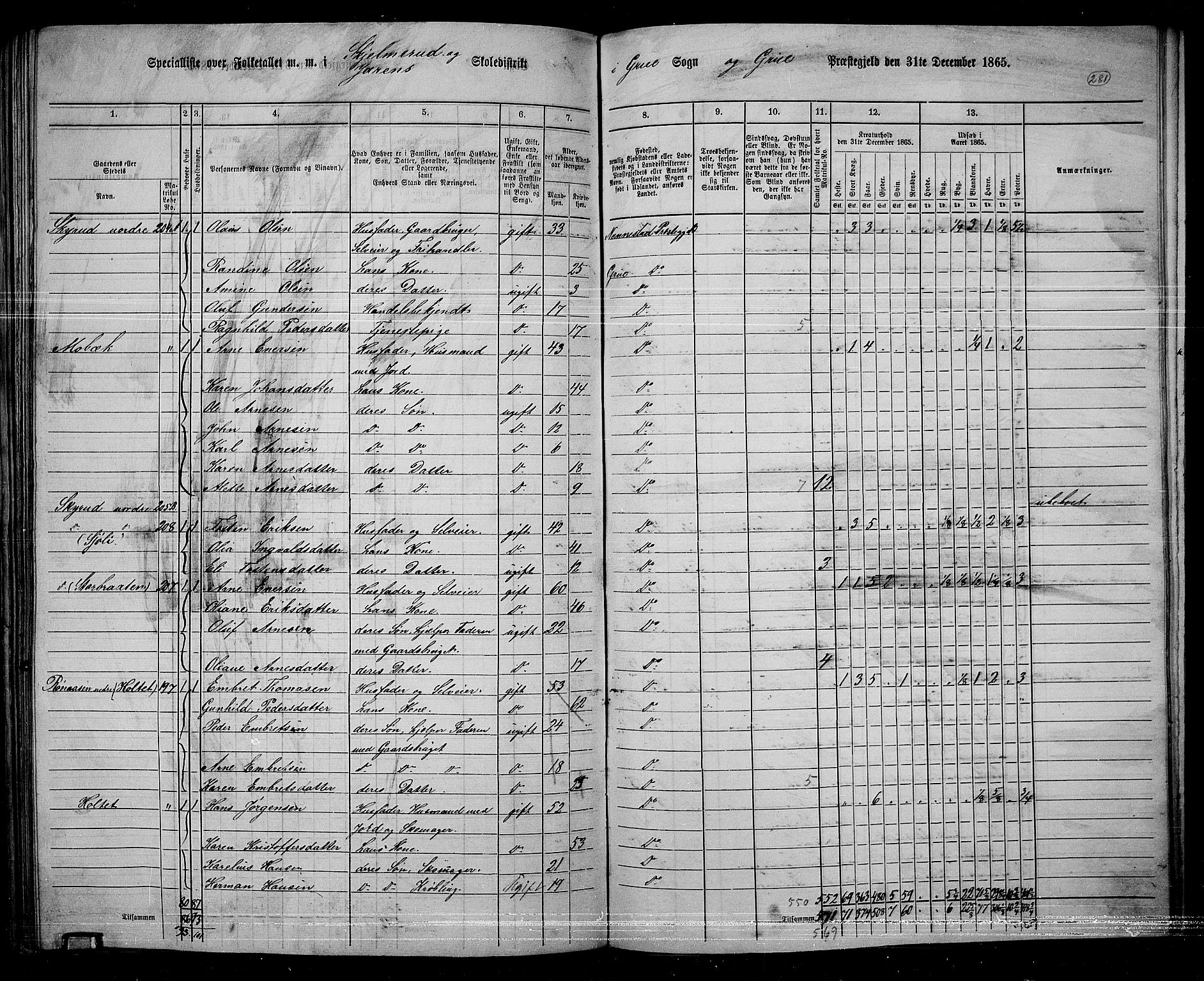 RA, 1865 census for Grue, 1865, p. 250