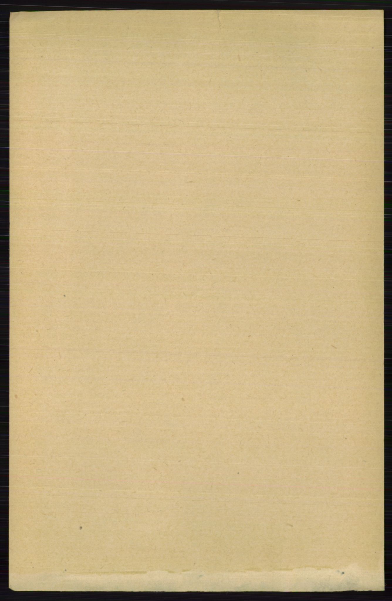 RA, 1891 census for 0613 Norderhov, 1891, p. 1247