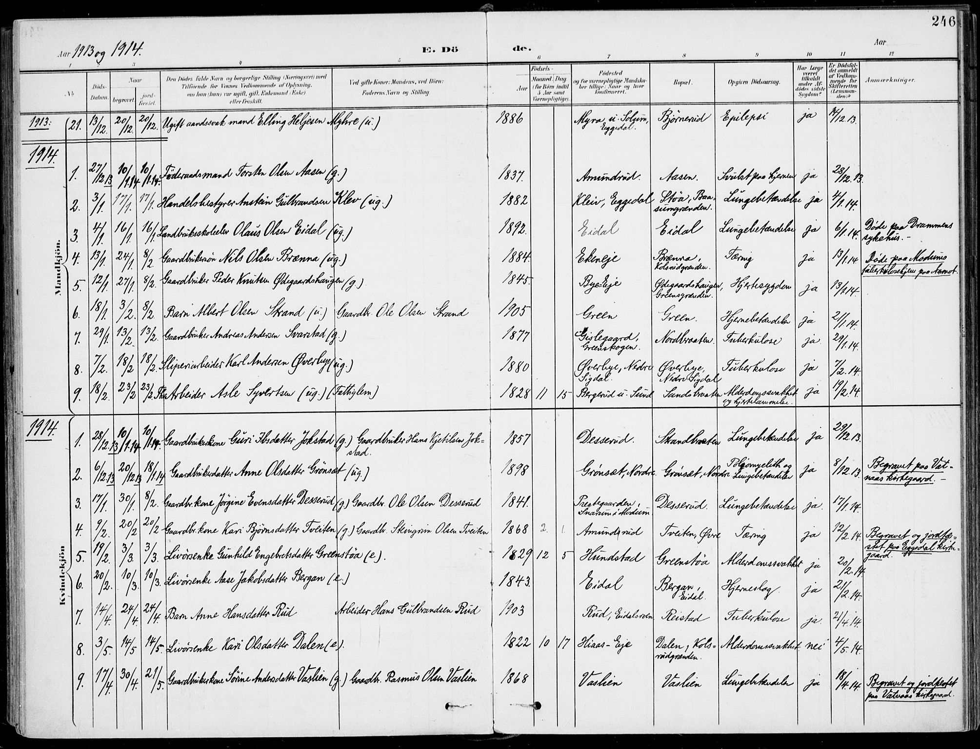 Sigdal kirkebøker, AV/SAKO-A-245/F/Fb/L0002: Parish register (official) no. II 2, 1901-1914, p. 246