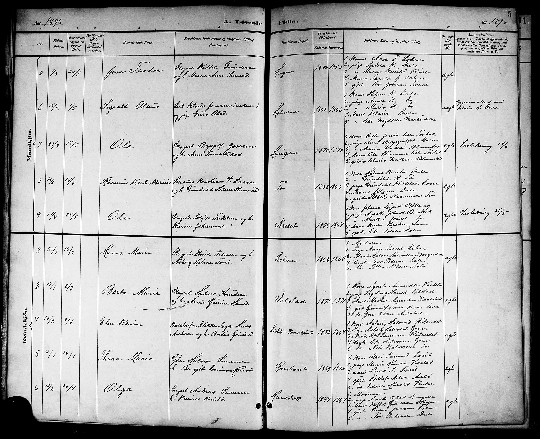 Drangedal kirkebøker, SAKO/A-258/G/Gb/L0002: Parish register (copy) no. II 2, 1895-1918, p. 5