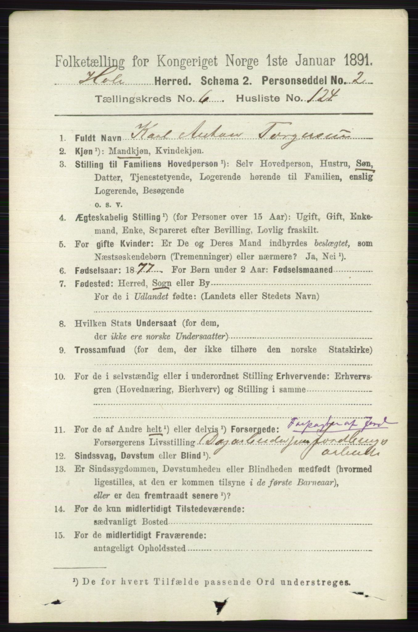 RA, 1891 census for 0612 Hole, 1891, p. 3878